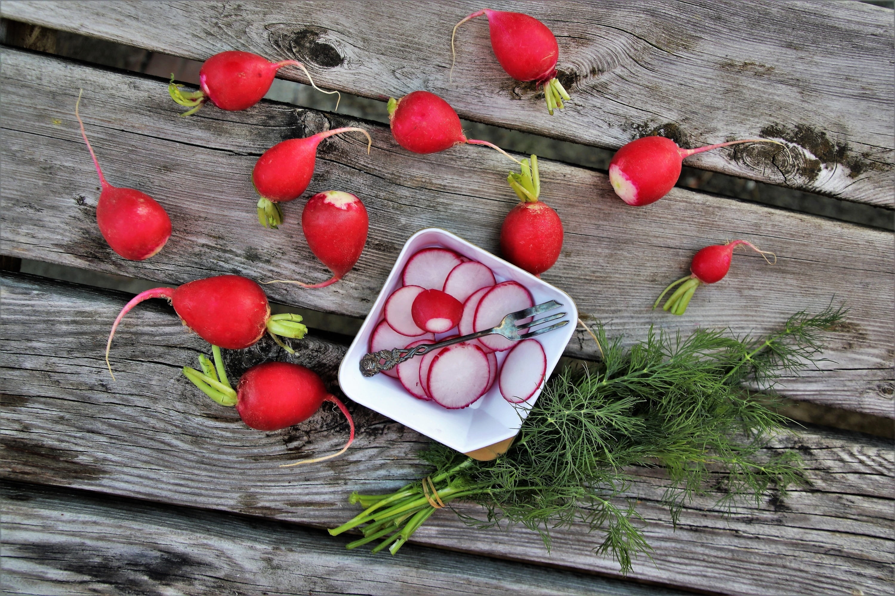 radishes, plate, 2K, plug, dill, HD Wallpaper