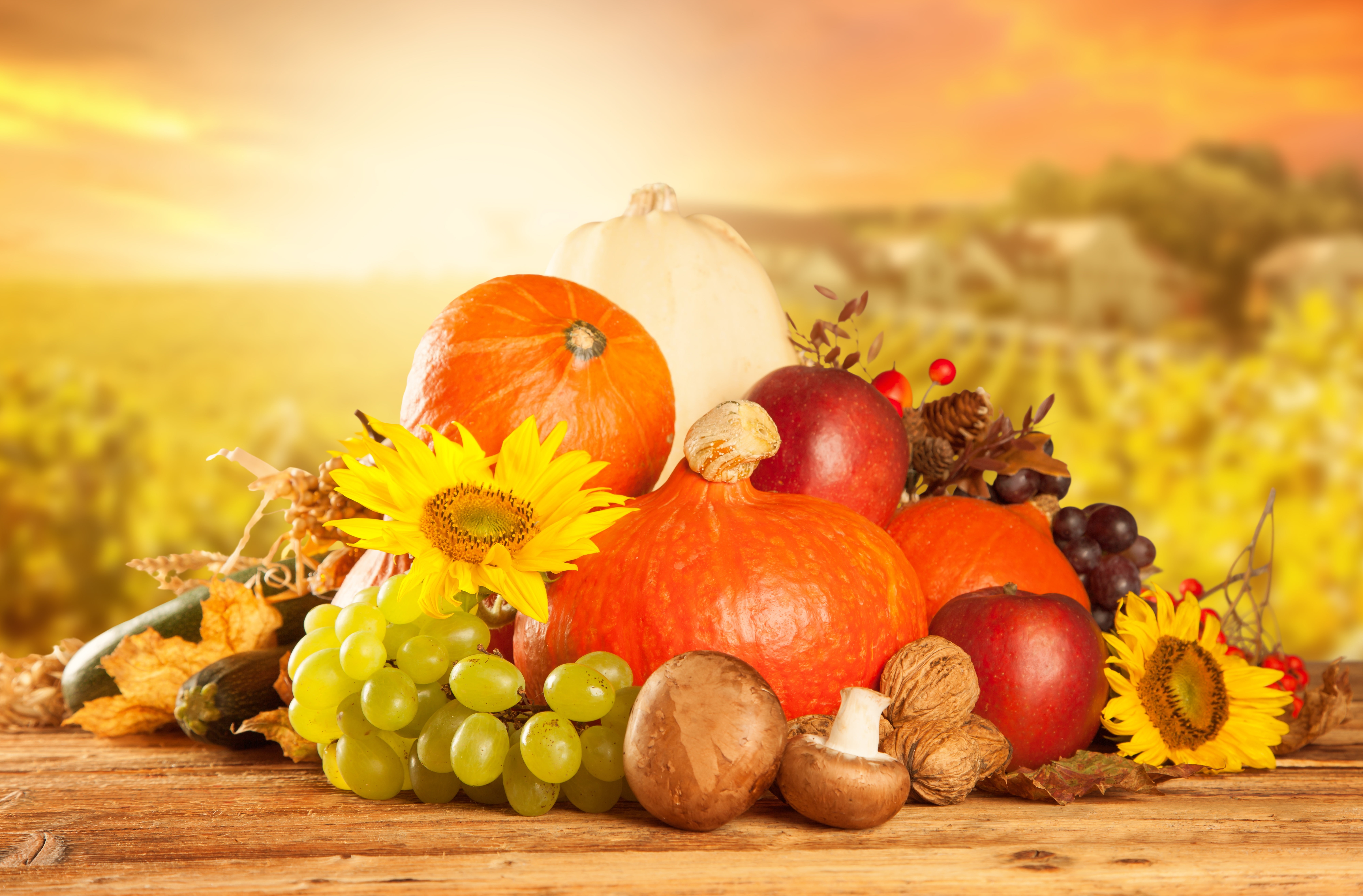focus on foreground, unripe, mushrooms, wellbeing, nature, outdoors, plant, no people, nuts, orange color, food and drink, apple - fruit, brown, vegetables, HD Wallpaper