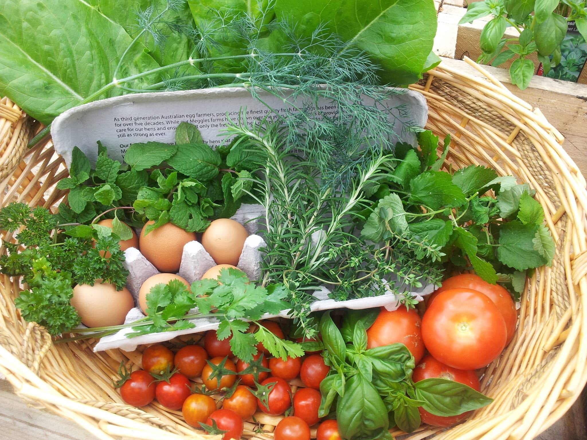 basket, diet, wooden, healthy, fruit, green, weight loss, fresh, tomatoes, raw food, raw, inside, harvest, wellbeing, outdoors, freshness, produce, self-sustainability, HD Wallpaper