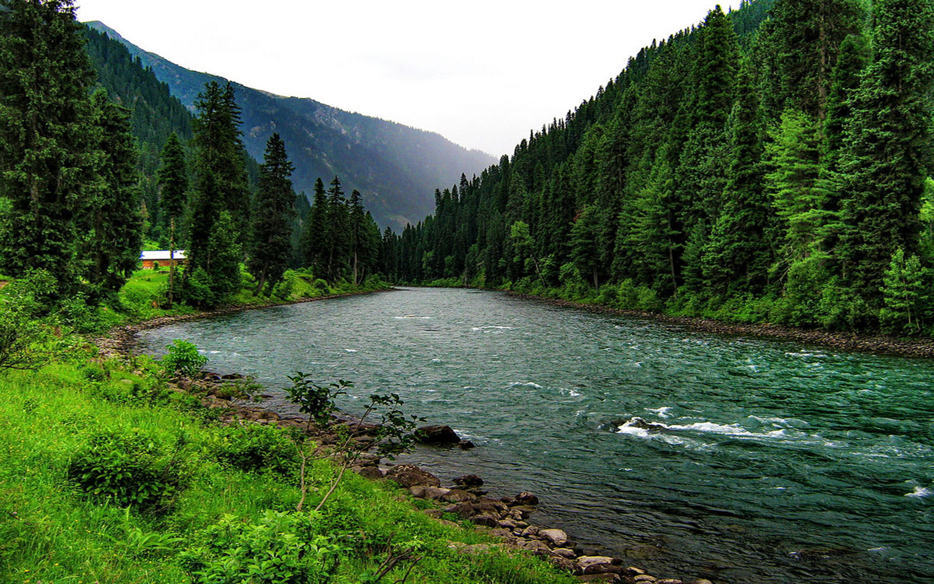 1080P, pine, wooden, forest, dense, house, green, river, mountain, grass, HD Wallpaper