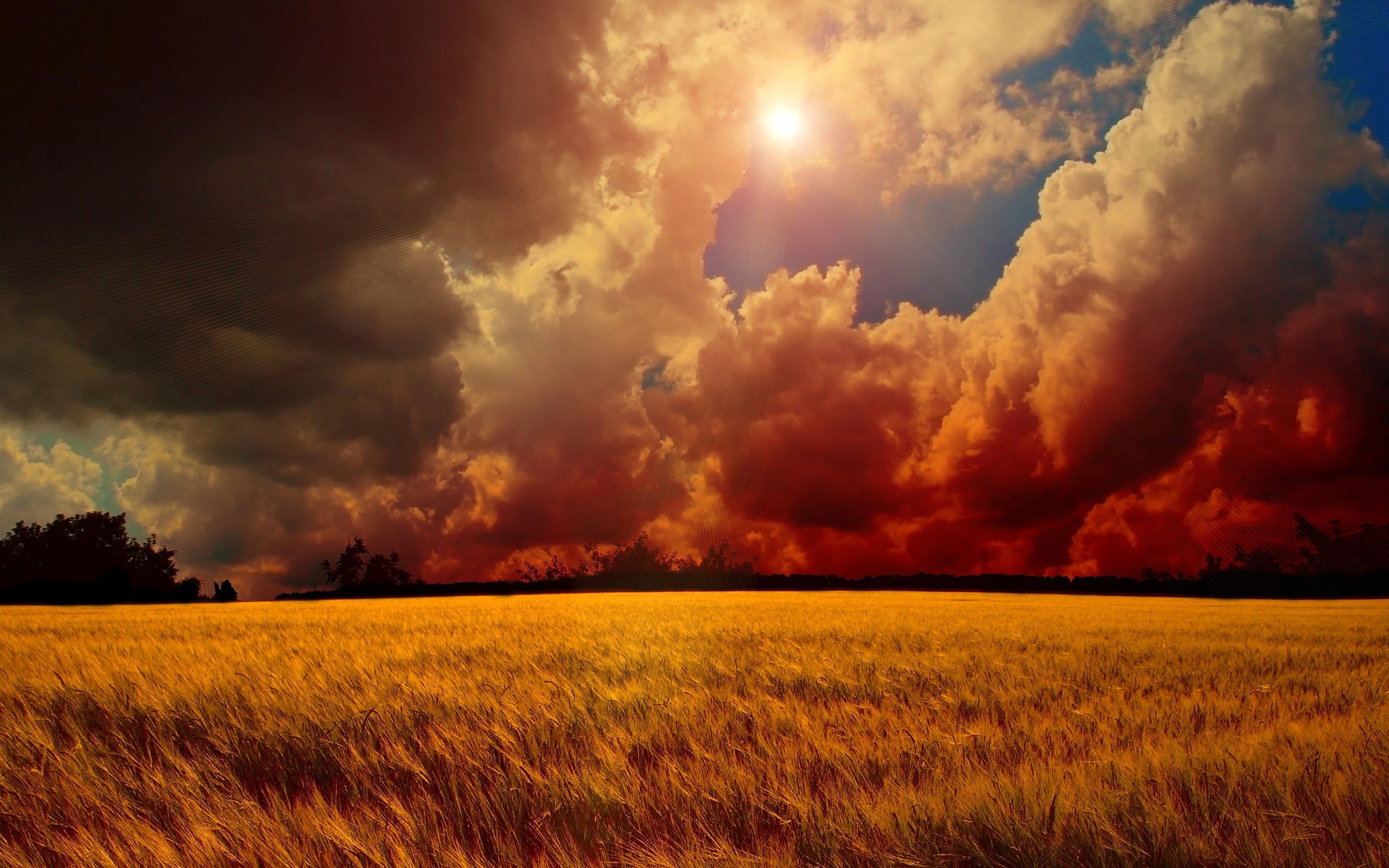 sky, agriculture, tree, farm, wheat, vibrant Color, meadow, green Color, color Image, morning, nature, dense, tranquil Scene, pasture, gleam, cloudscape, HD Wallpaper