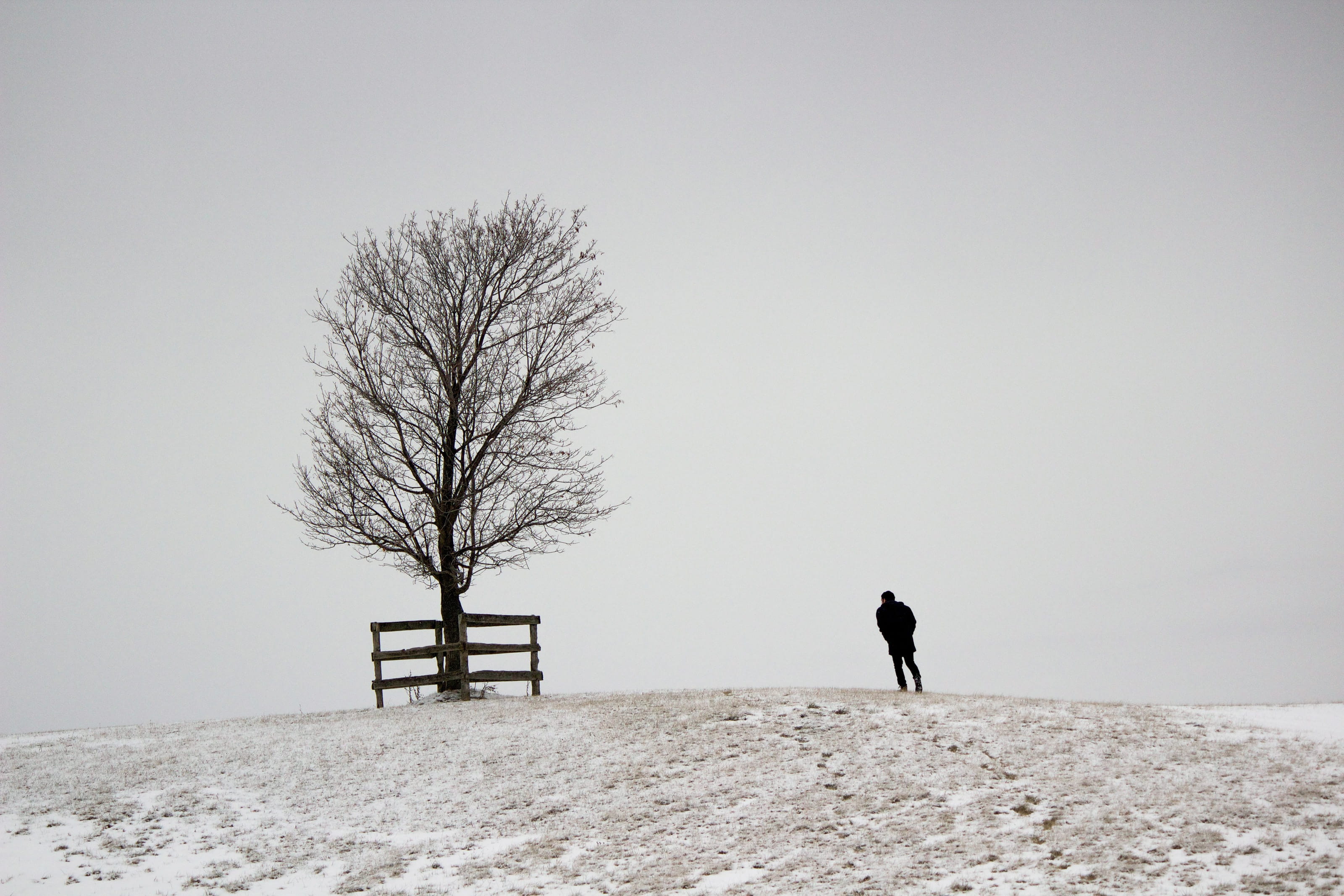 bare tree, scene, no leaf, frosty, foggy, snowy, one person, hill, season, standing, silhouette, covered, sky, men, snow, white, fog, dense, mountain, vacation, HD Wallpaper