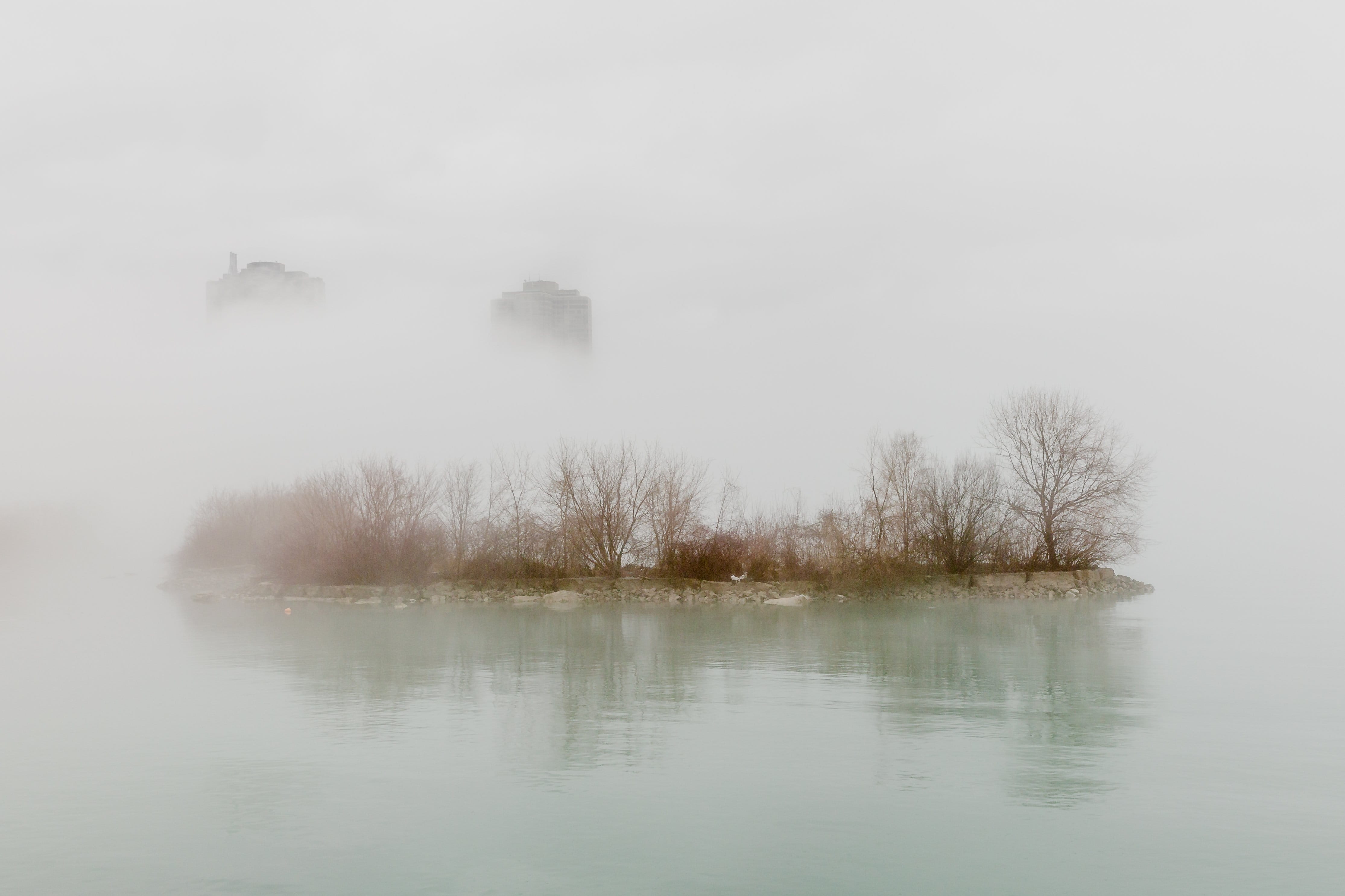 beauty in nature, scene, gloomy, urban, non-urban scene, smog, plant, city, tranquility, hazy, no people, bare tree, covered, lake, view, scenics - nature, HD Wallpaper