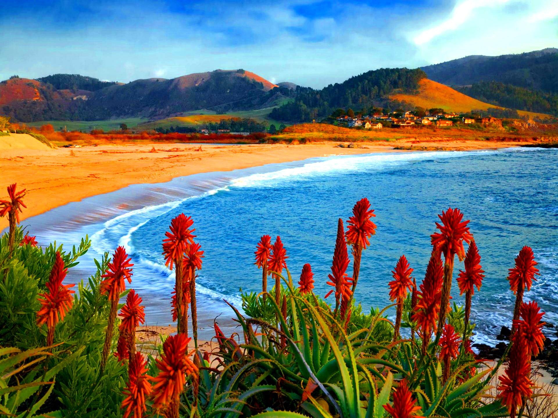 beautiful, house, 1080P, flowers, dense, lake, water, natu, coastal, cottage, red, cabin, village, ocean, heads, shore, clouds, HD Wallpaper