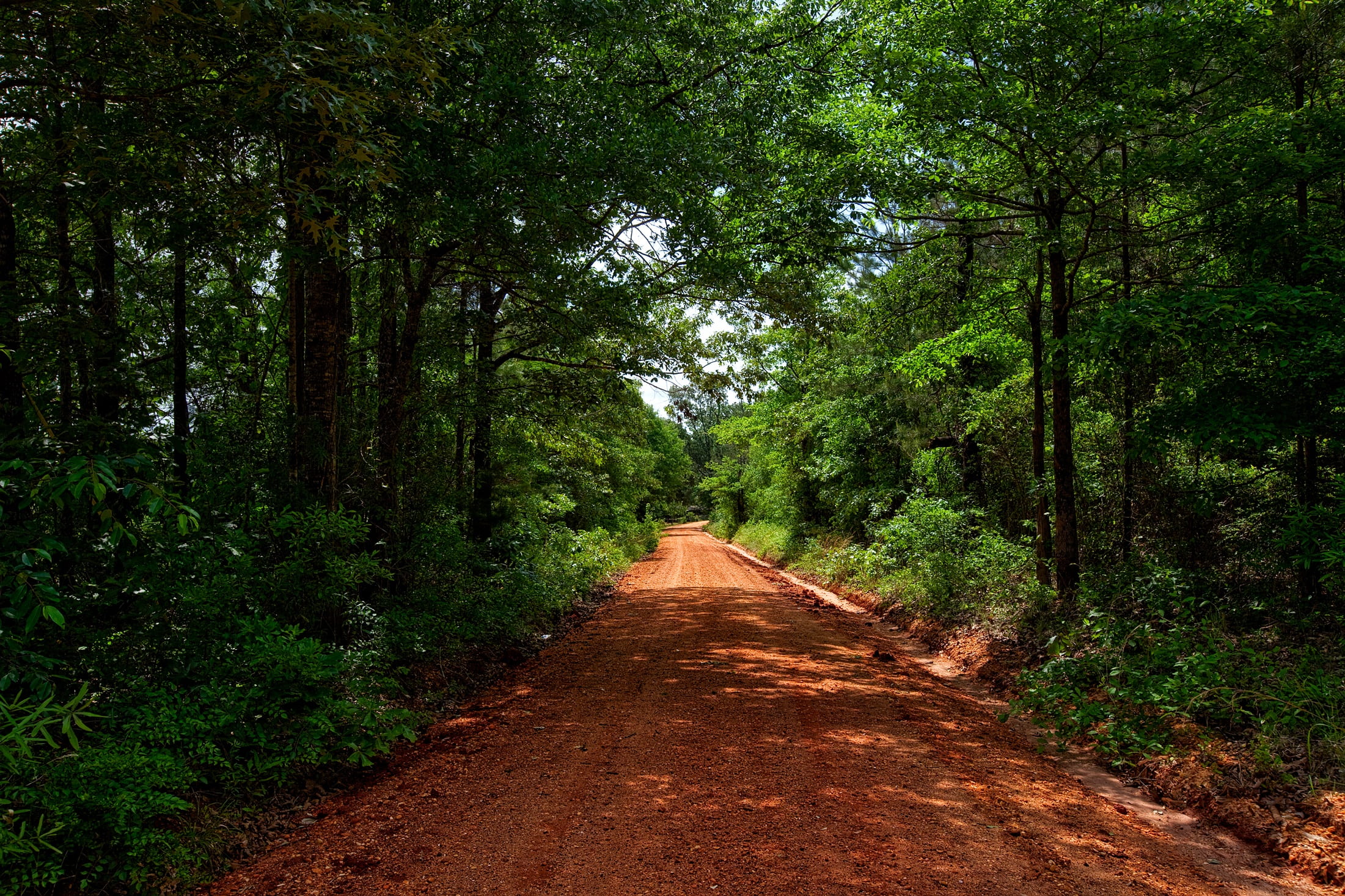 woods, dirt road, rural, brown, non-urban scene, vanishing point, green color, idyllic, muddy, tranquility, nature, tranquil scene, day, beauty in nature, HD Wallpaper
