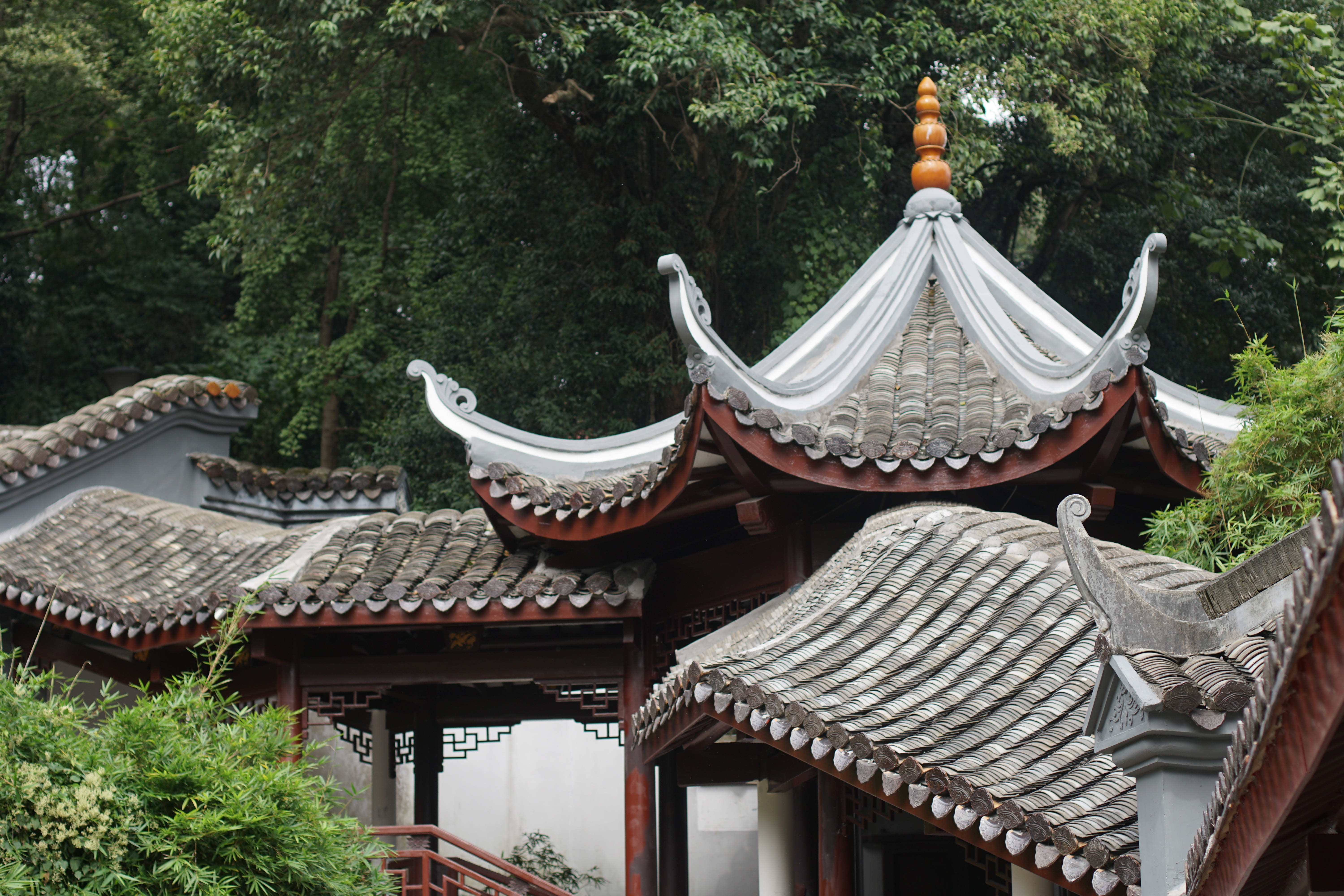 day, spirituality, 5K, no people, built structure, college, hunan university, shrine, growth, building, building exterior, tree, architecture, religion, HD Wallpaper