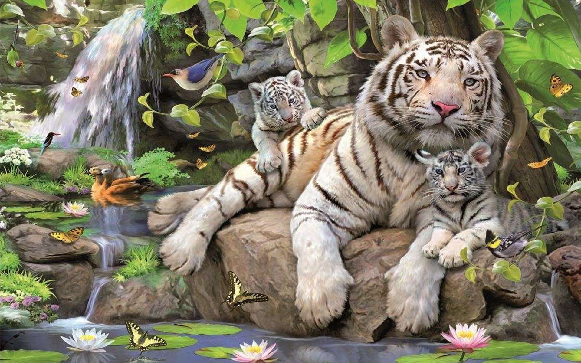 white, two, cubs, 1080P, lotus, hd, jungle, tigress, desktop, waterfall, HD Wallpaper