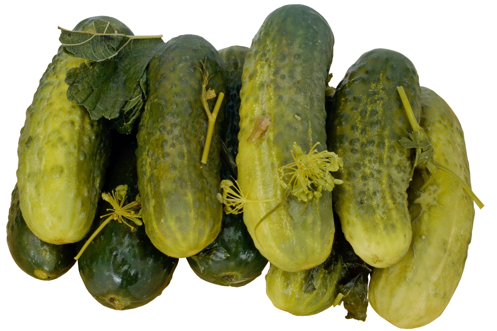 studio shot, group of objects, pickled, green Color, dieting, nature, still life, cucumbers, directly above, green, raw Food, food, no People, gourd, freshness, HD Wallpaper