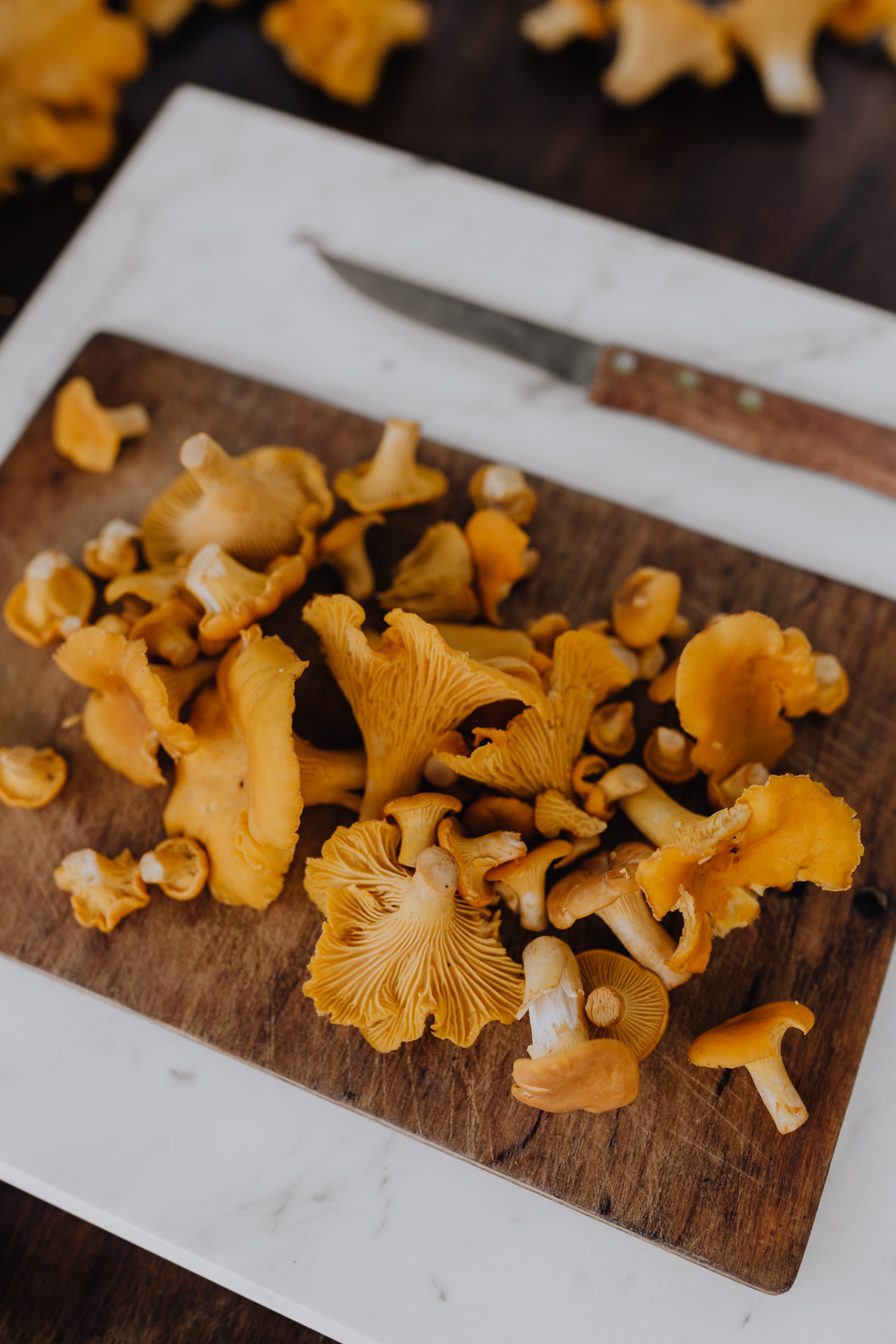 woods, tray, wellbeing, temptation, autumn, freshness, chantarelle, focus on foreground, mushrooms, indoors, selective focus, no people, picking, 4K, high angle view, Phone HD Wallpaper