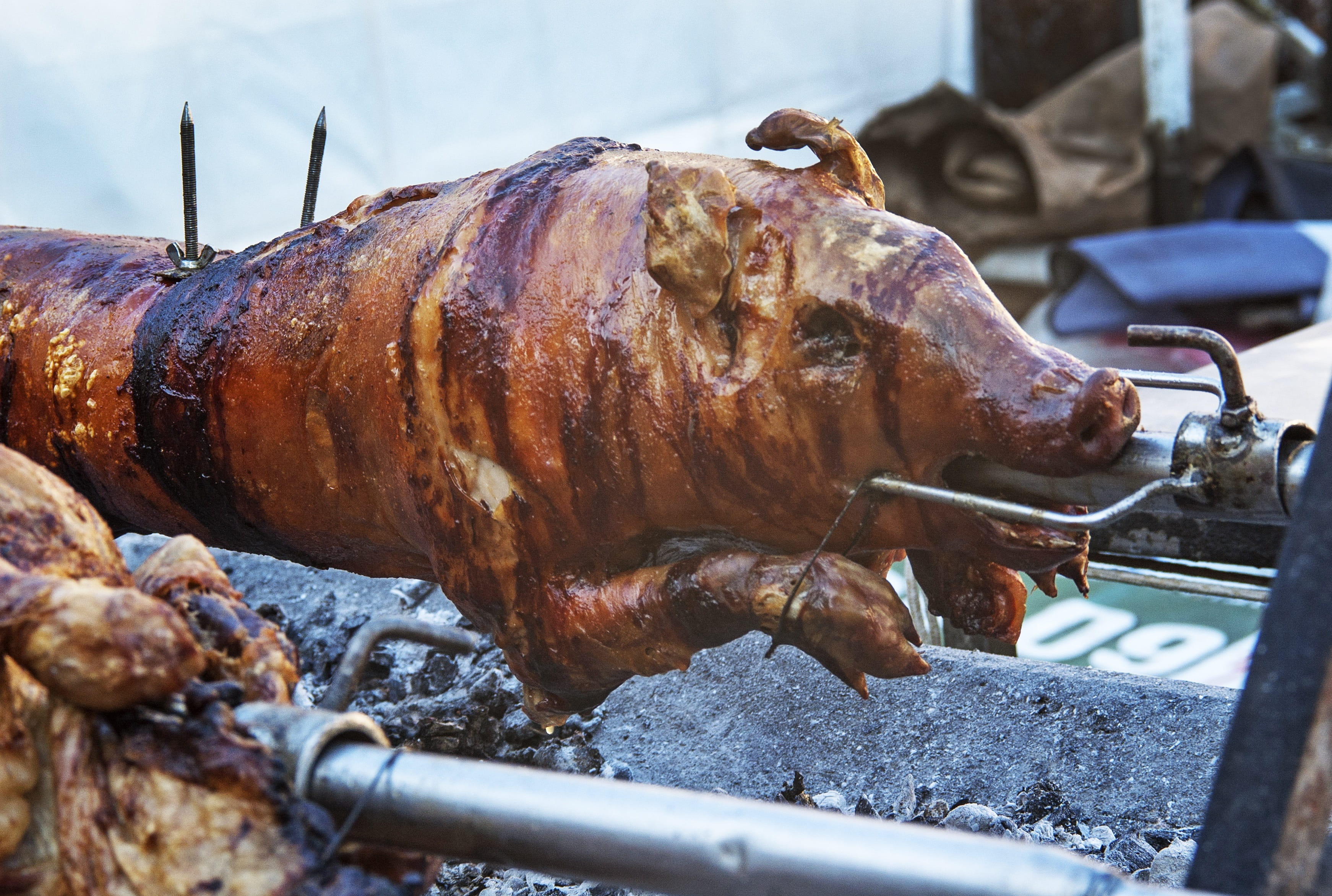 freshness, delicious, no people, tray, pig roast, food and drink, close-up, barbecue, focus on foreground, heat - temperature, day, roasted, spit, chicken, HD Wallpaper