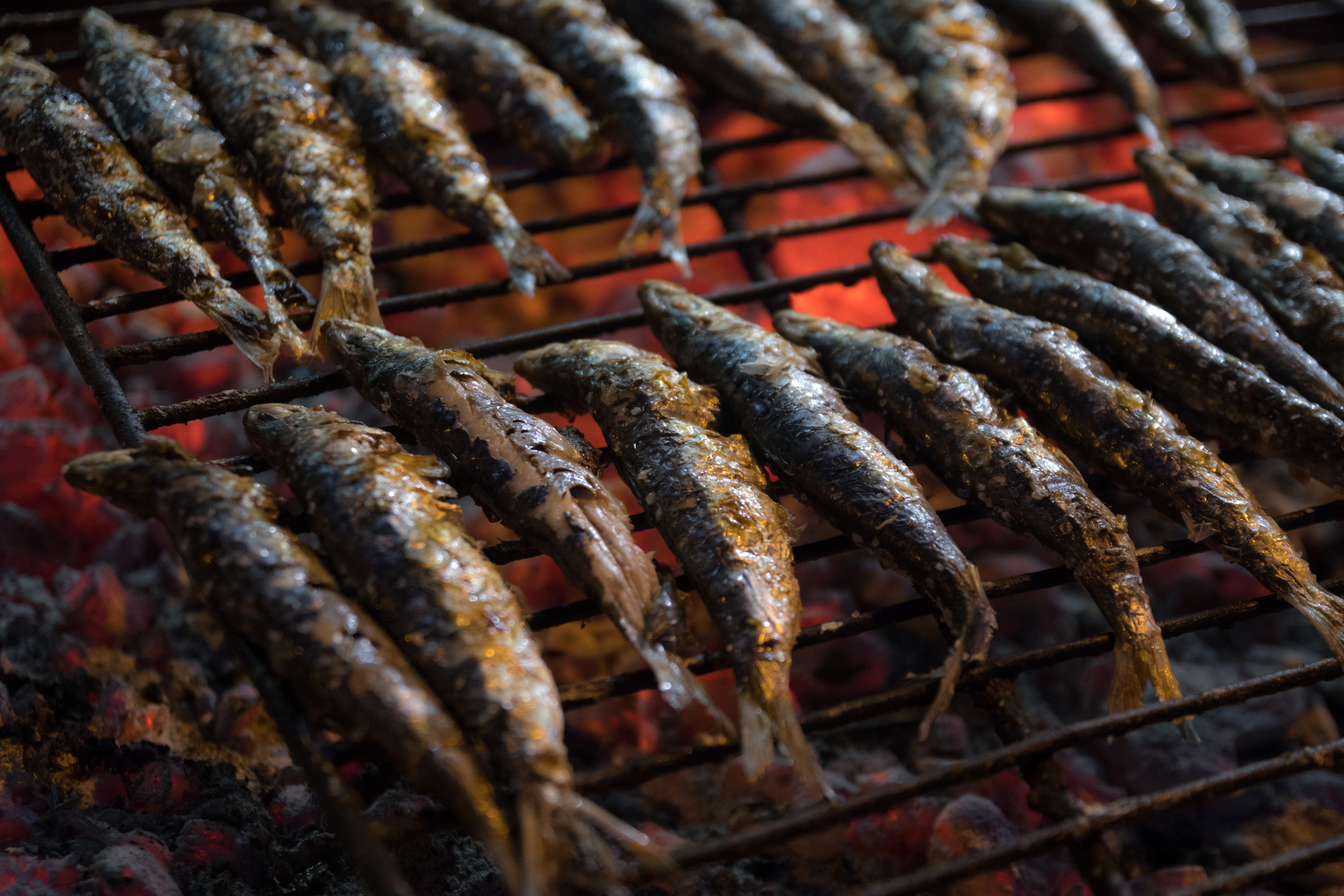 restaurant, fresh, barbecue grill, seafood, outdoors, healthy, food and drink, fish, animal, metal, wellbeing, no people, retail, sardines, food, healthy eating, HD Wallpaper