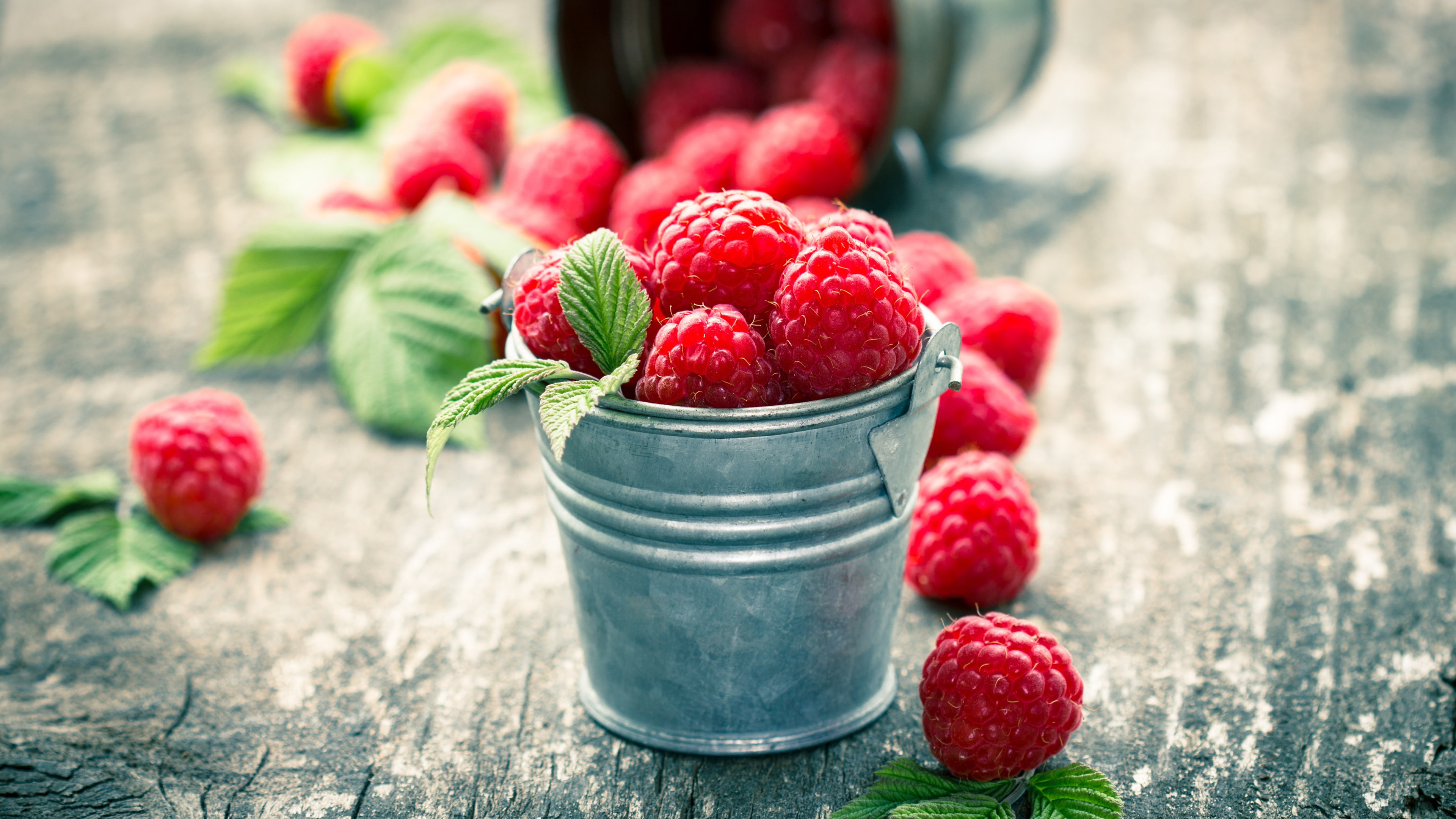 bucket, superfood, local food, berry, fruit, raspberry, 4K, HD Wallpaper