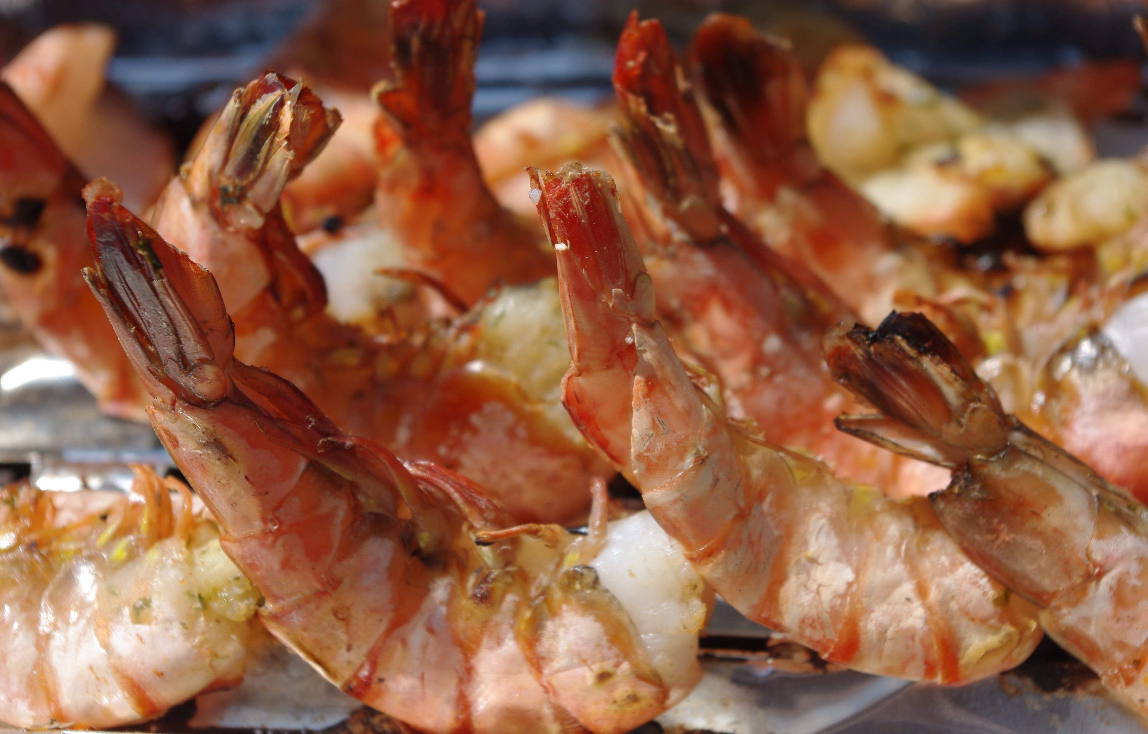 dinner, food And Drink, Creature, underwater, court, animal, fish dish, frisch, Eat, grilled, meal, prawn, Fish, Food, ready-to-eat, Grill, gourmet, mediterranean cuisine, HD Wallpaper