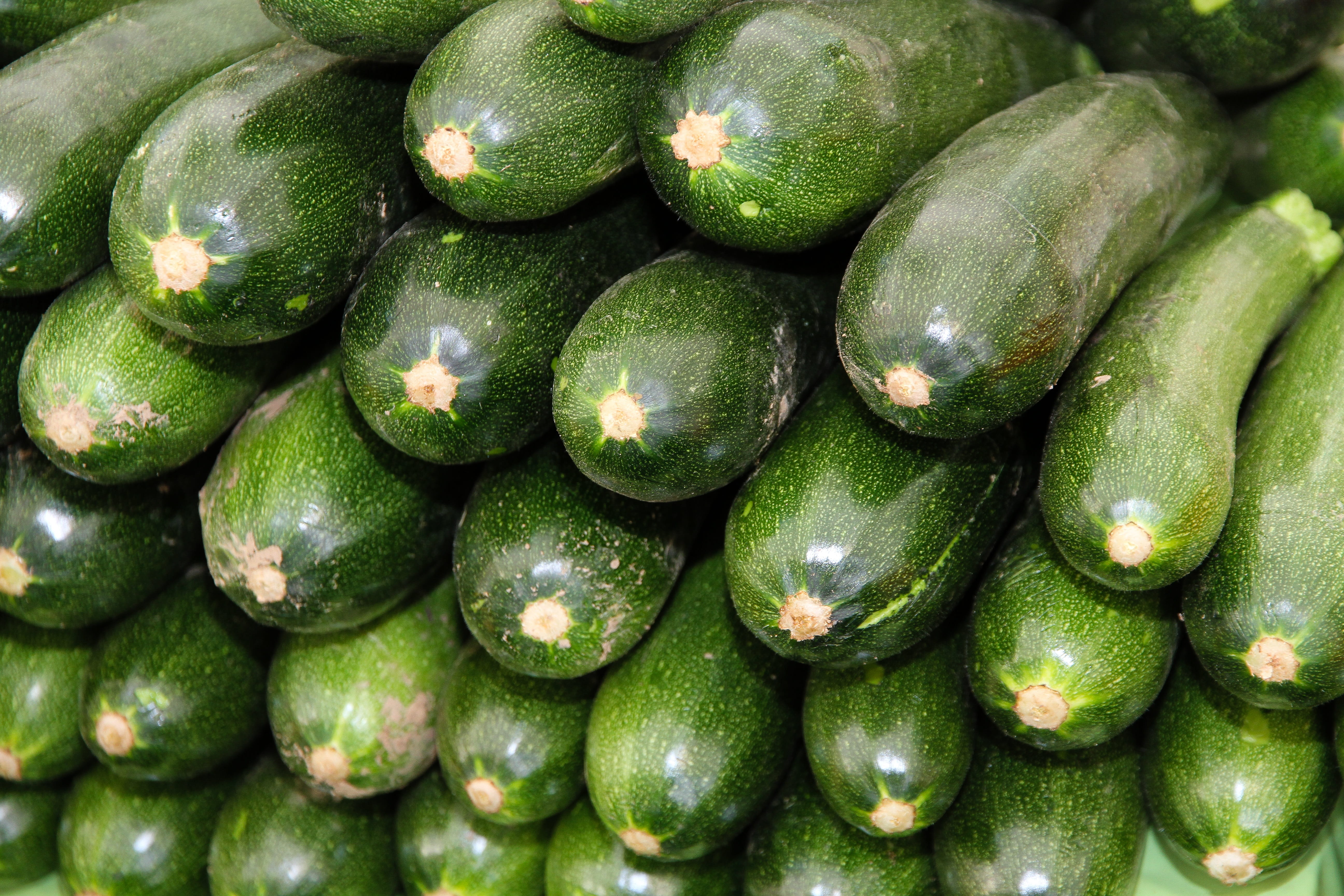 still life, vegetarian Food, bio, raw Food, Zucchini, green Color, cook, abundance, ingredients, vegetable growing, market stall, consumerism, backgrounds, HD Wallpaper