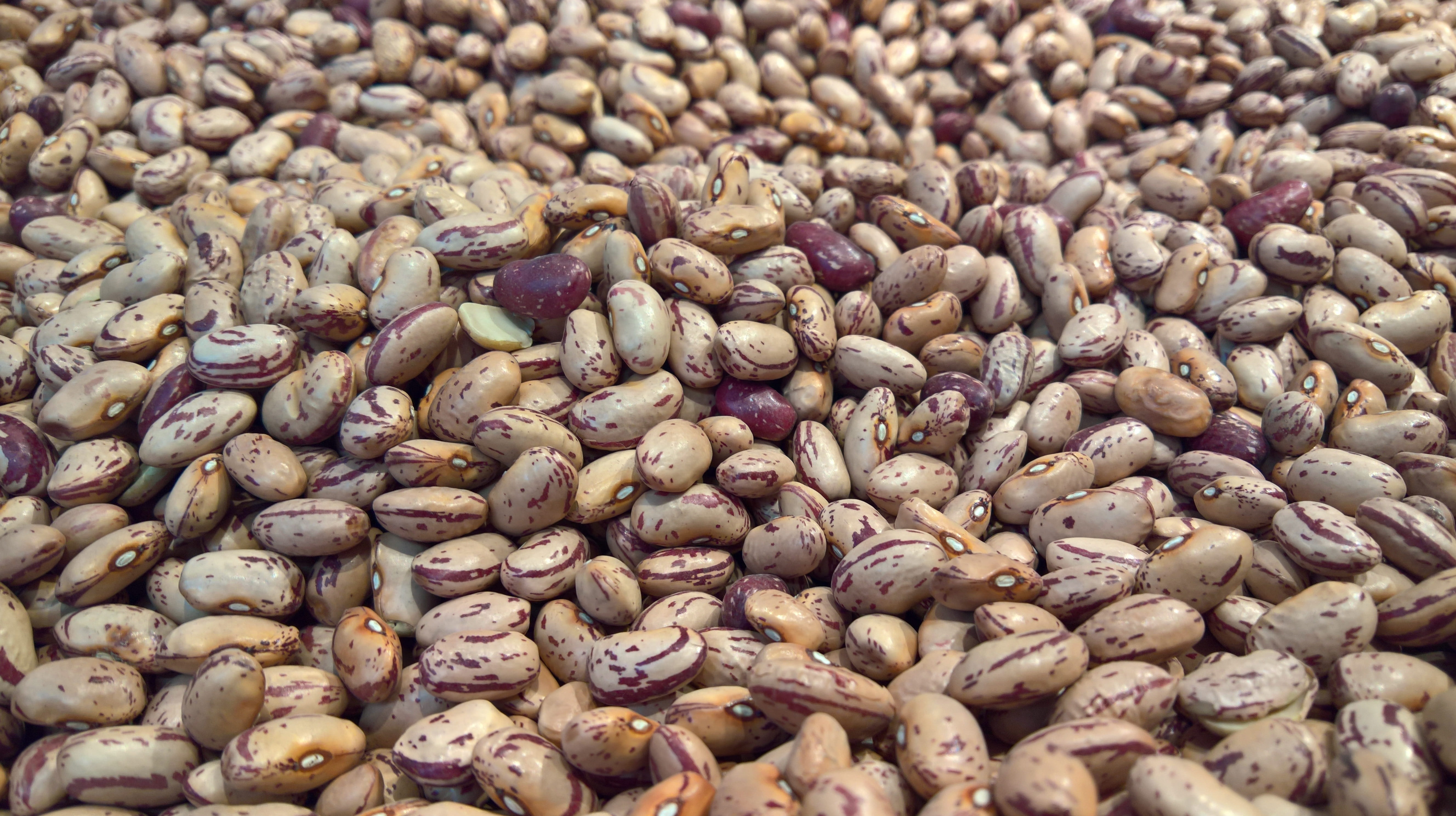 market, high angle view, uncooked, purple, indoors, vegan, food, no people, wellbeing, vegetarian, temptation, healthy eating, eat, backgrounds, protein, HD Wallpaper