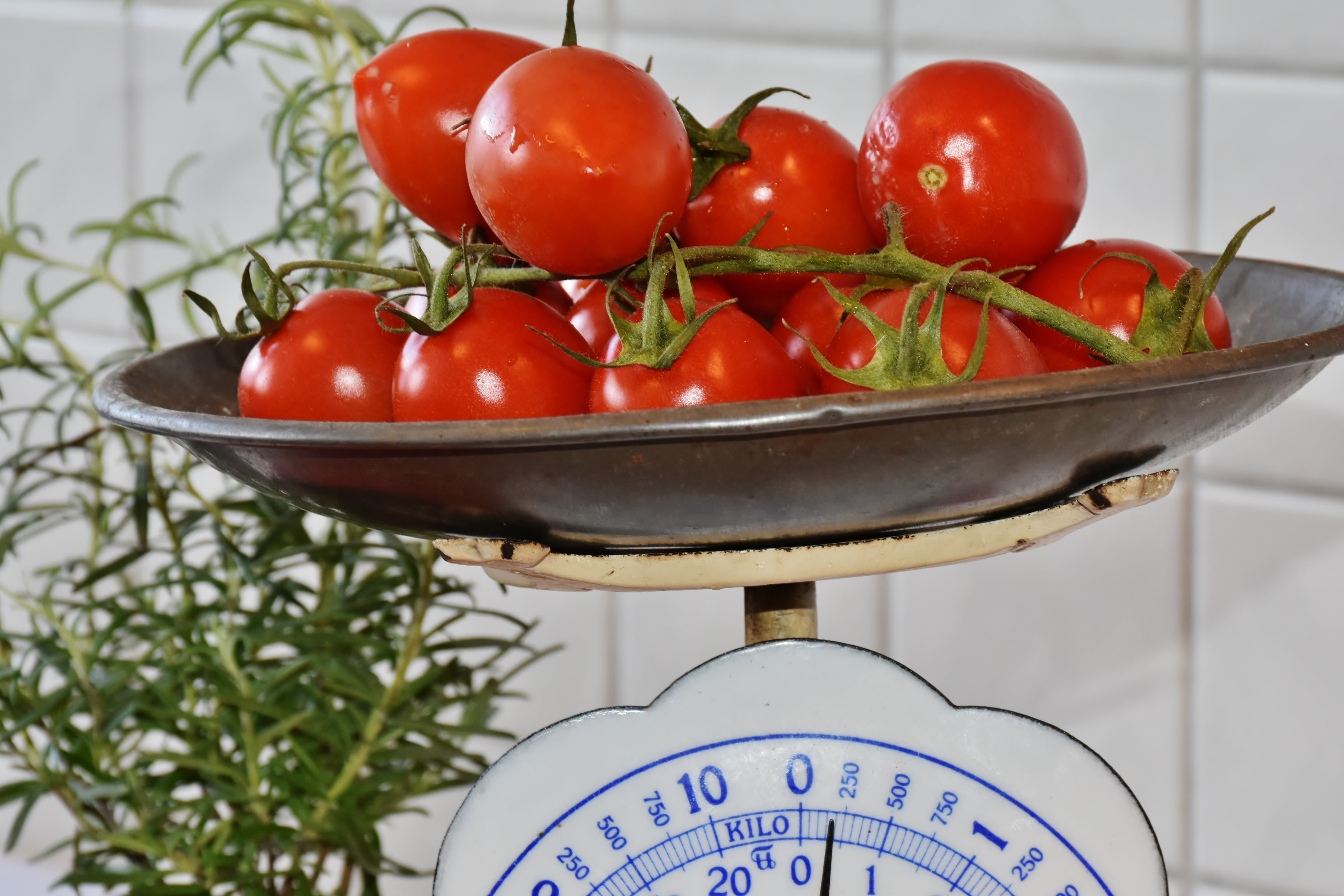 food, raw food, fruit, horizontal, nutrition, frisch, no people, meatless, plant, cherry tomato, tomatoes, healthy eating, control, kitchen, weight control, HD Wallpaper