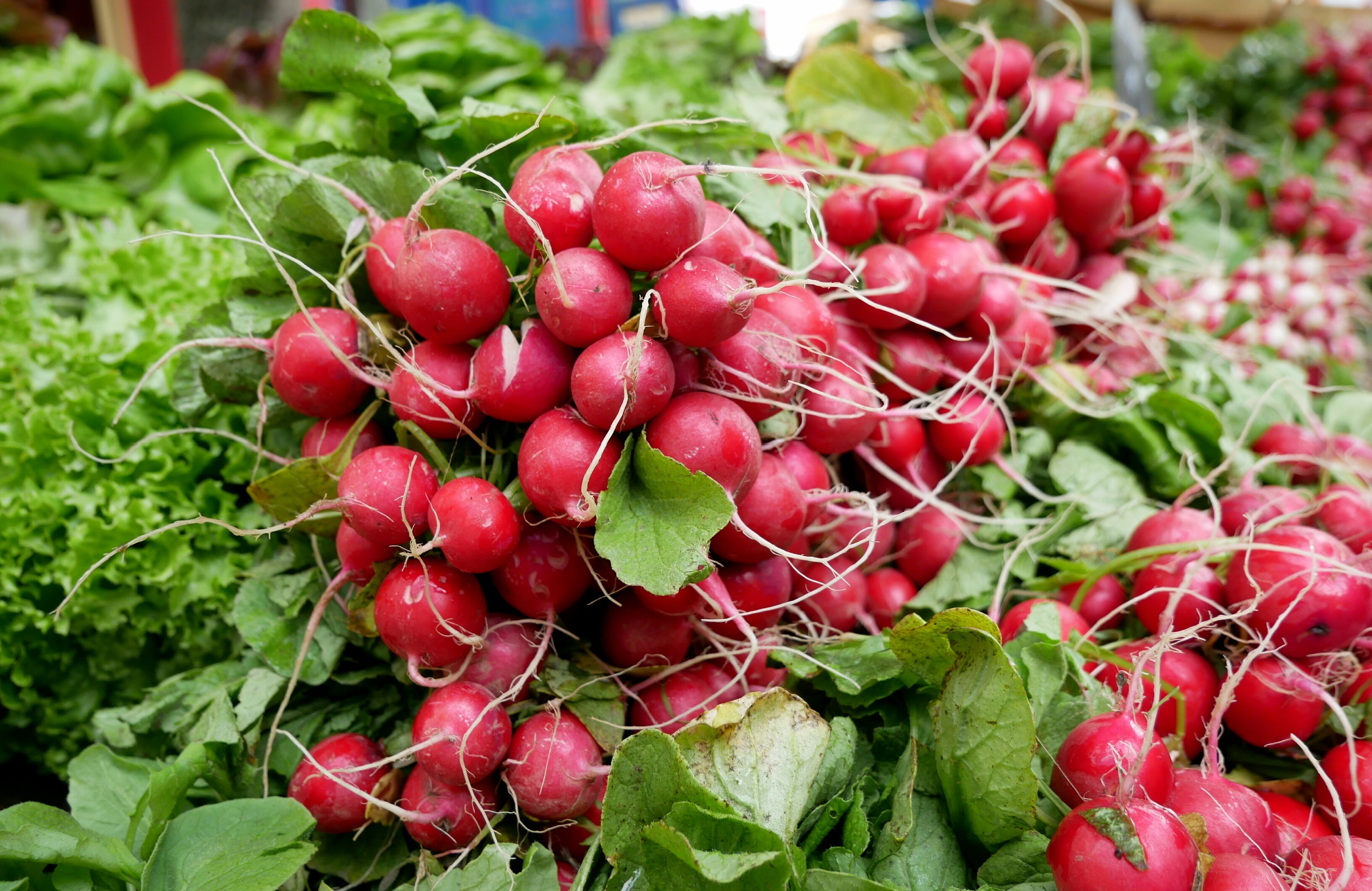 vegetarian, green color, close-up, vegetable, market, vegan, freshness, abundance, eat, farmers local market, large group of objects, meatless, common beet, HD Wallpaper