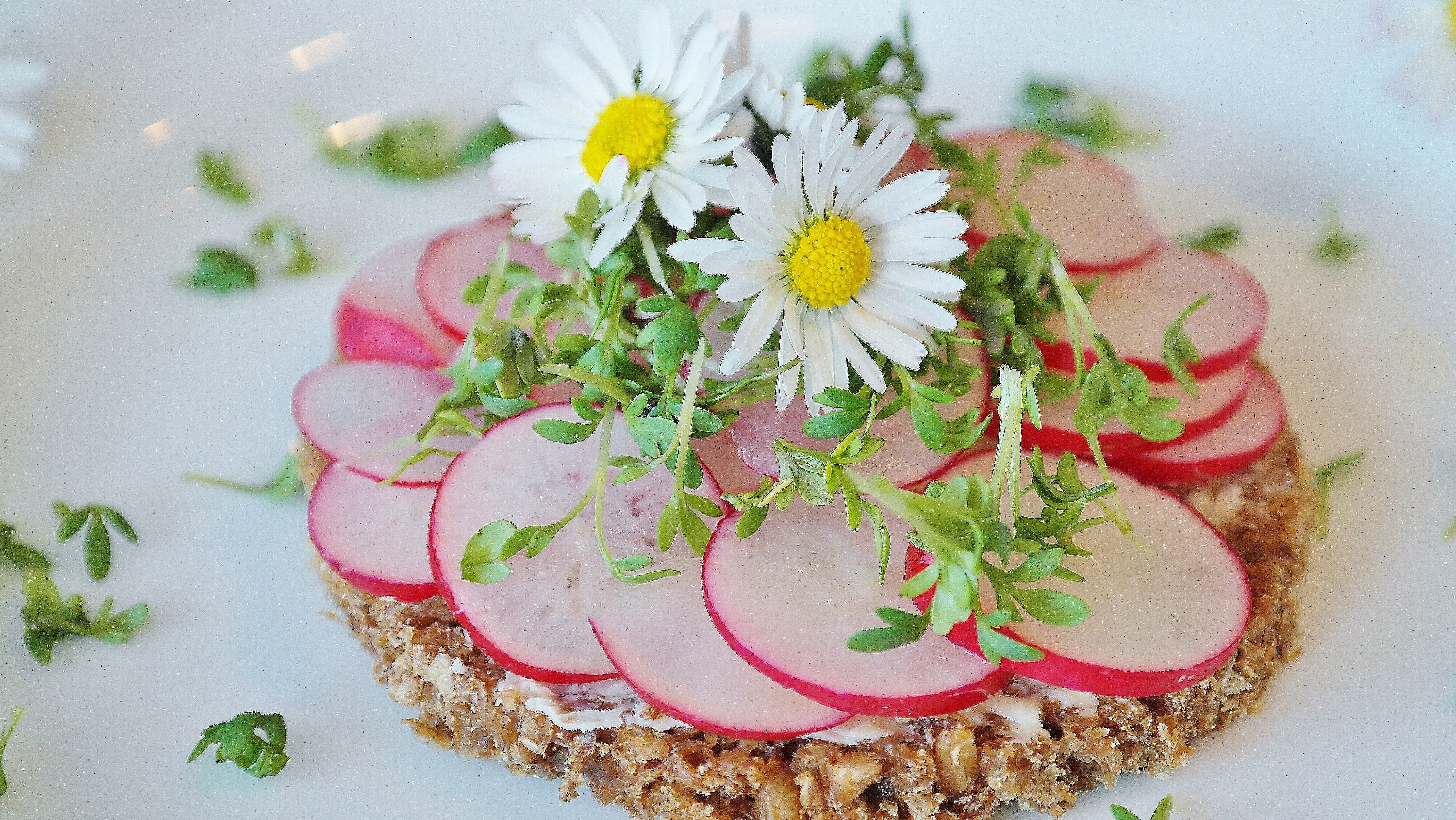 nature, garnish, healthy eating, tasty, herb, edible, feed, fragility, bread, nutrition, healthy, plant part, food and drink, table, daisy, flowering plant, HD Wallpaper