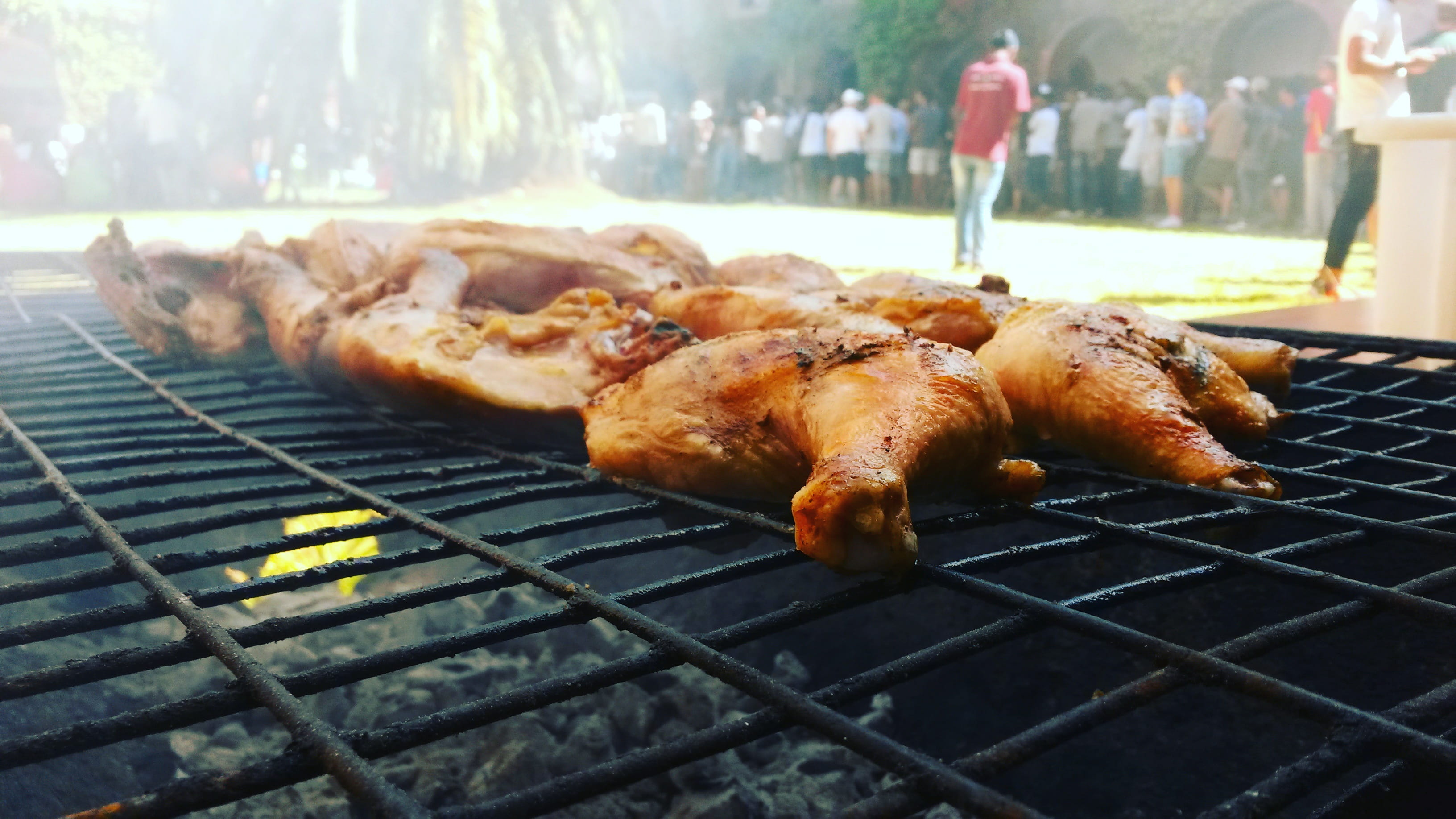 university of cape town, healthy eating, barbeque, white meat, focus on foreground, preparation, open fire grill, skewer, braai, snack, food, 2K, meat, HD Wallpaper