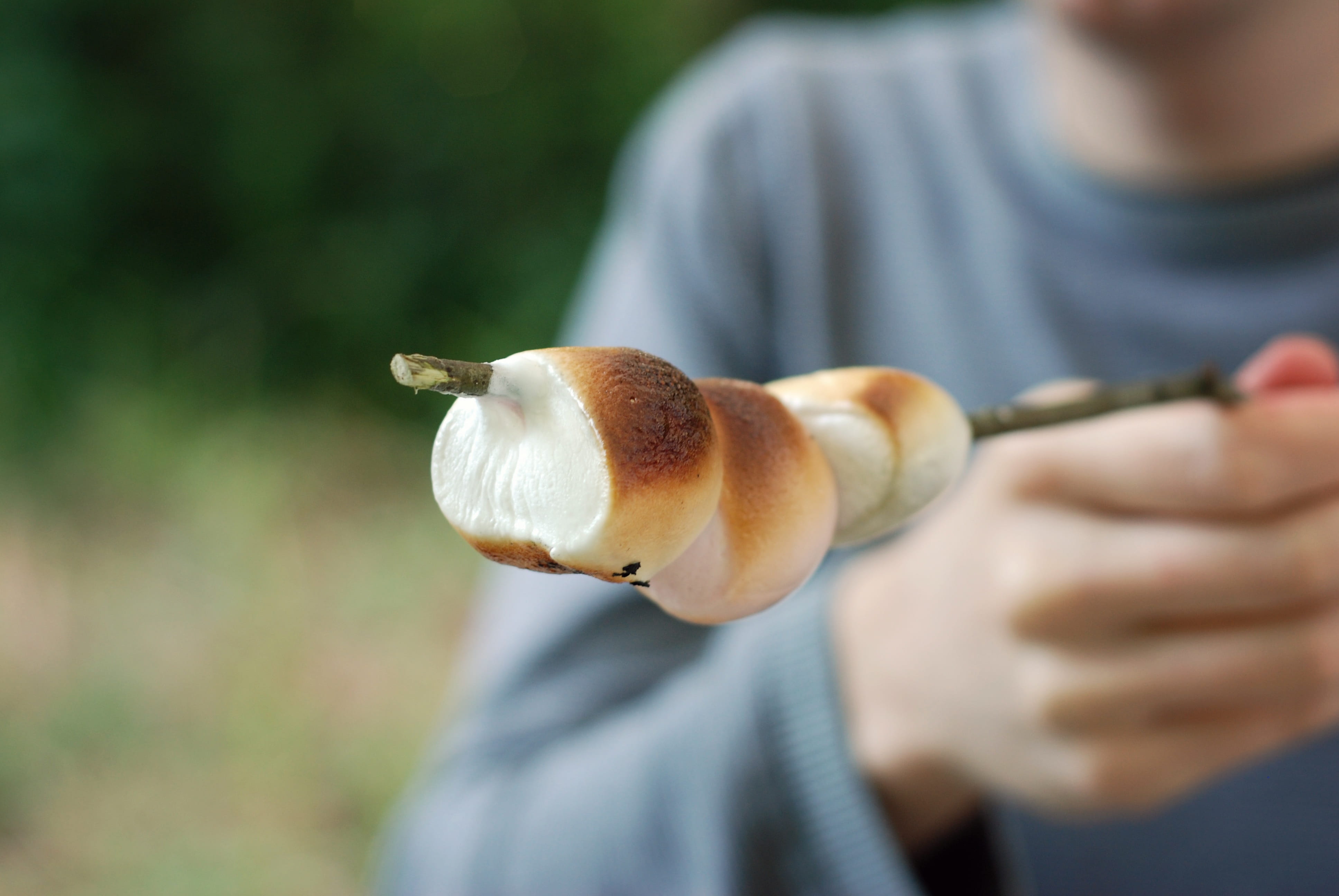 marshmallow, grill, focus on foreground, men, food and drink, front view, midsection, grilled, one person, 4K, holding, snack, outdoors, adult, hand, day, HD Wallpaper