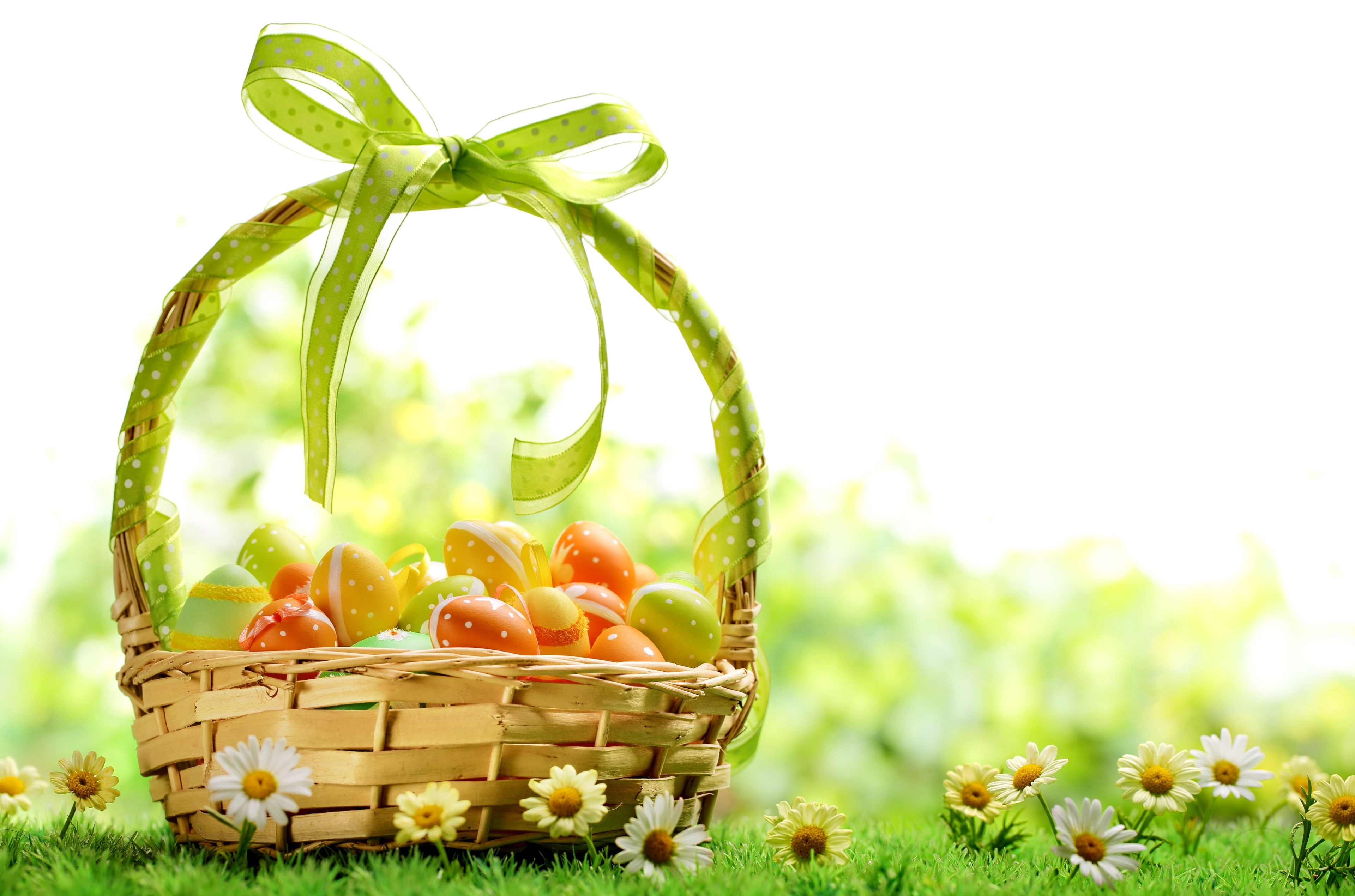 agriculture, growth, land, basket, harvesting, wellbeing, crop, plant, food and drink, container, vegetable, food, nature, 4K, fruit, no people, green color, HD Wallpaper