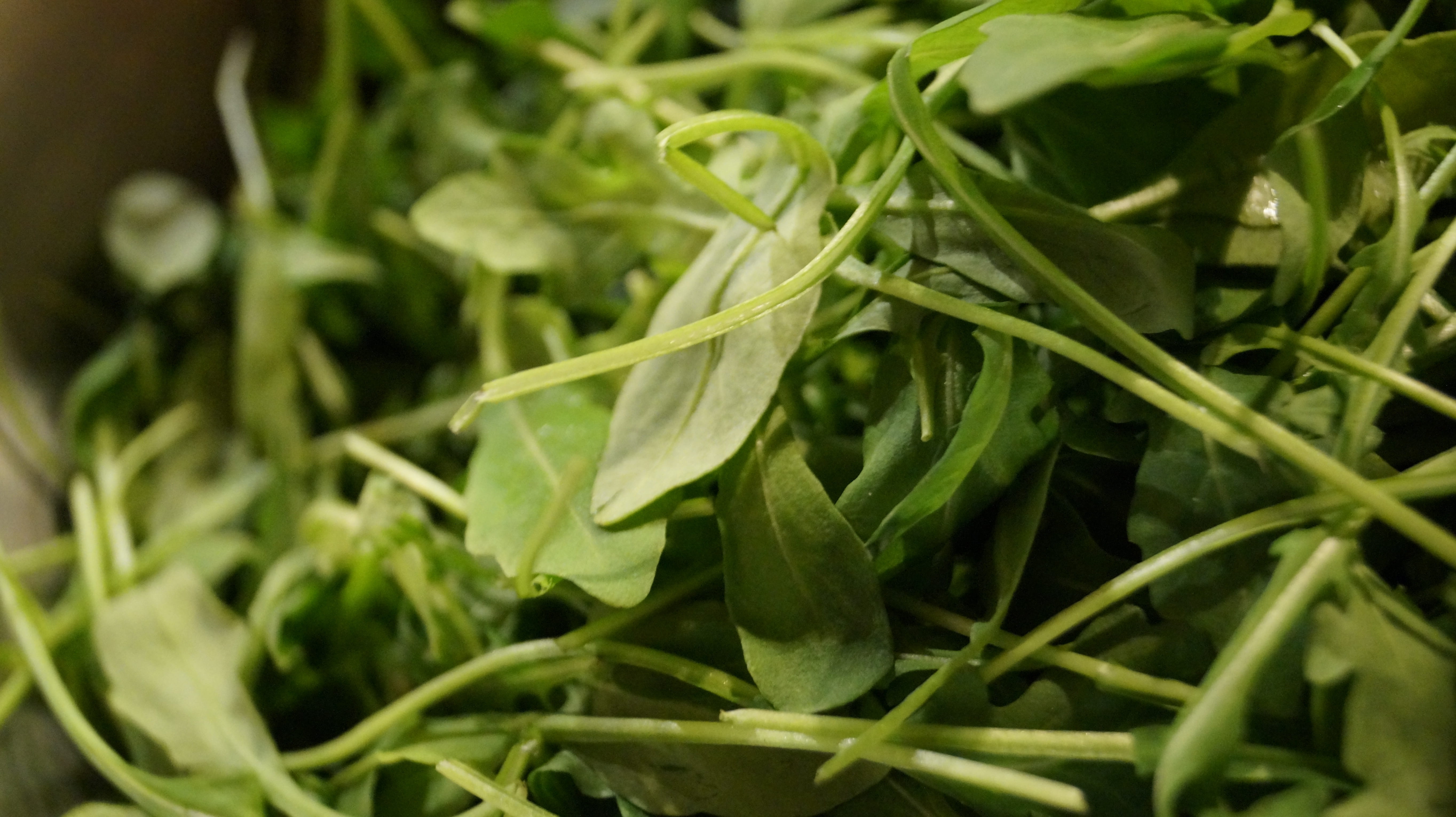 agriculture, growth, eat, arugula, plant part, selective focus, market, pizza, green color, food and drink, leaves, rocket, wellbeing, healthy, delicacy, HD Wallpaper