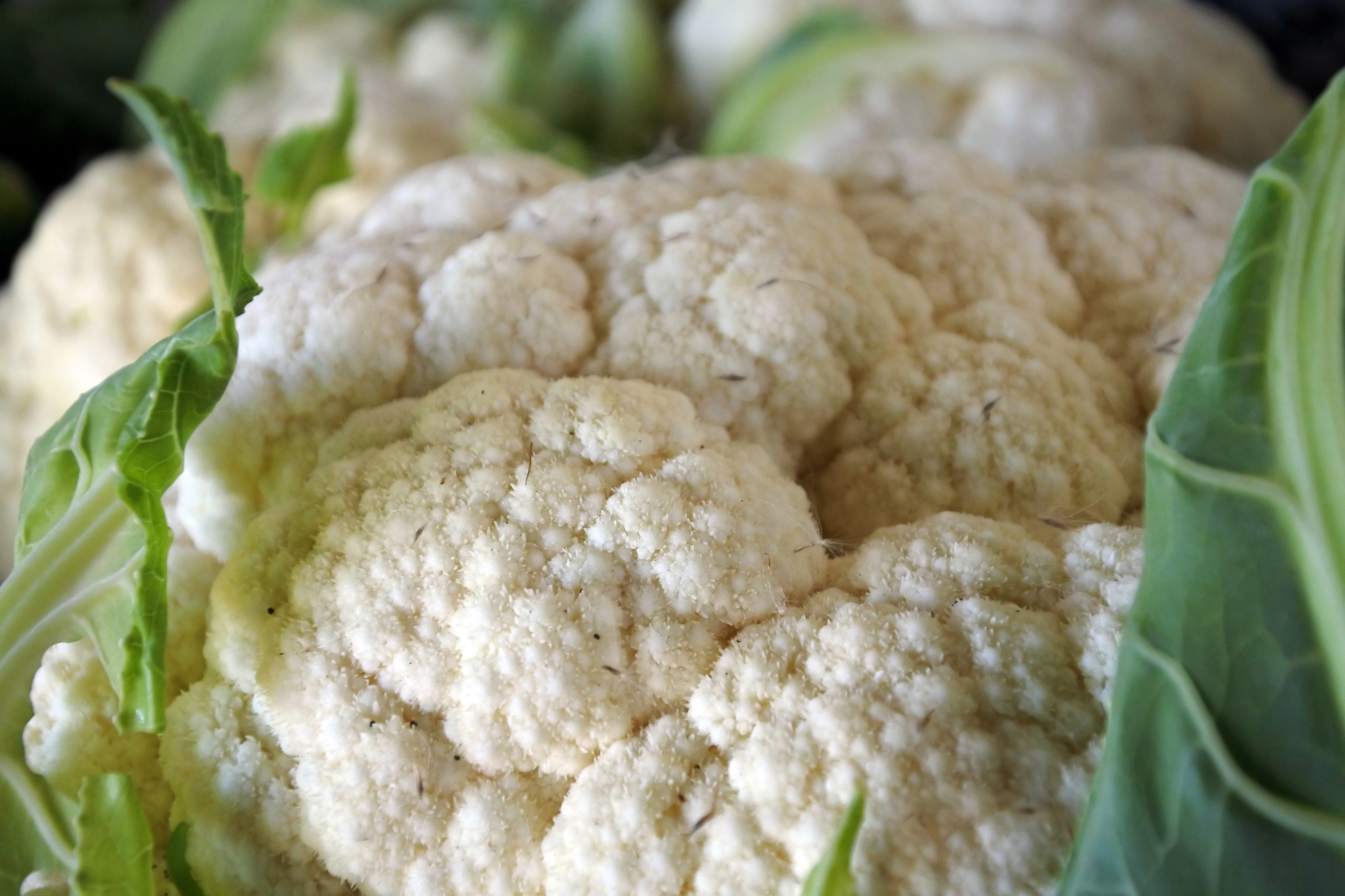 use, vegetables, close, plant part, large group of objects, white color, delicious, 5K, kitchen, vegetable, white, no people, food, indoors, leaf, close-up, HD Wallpaper