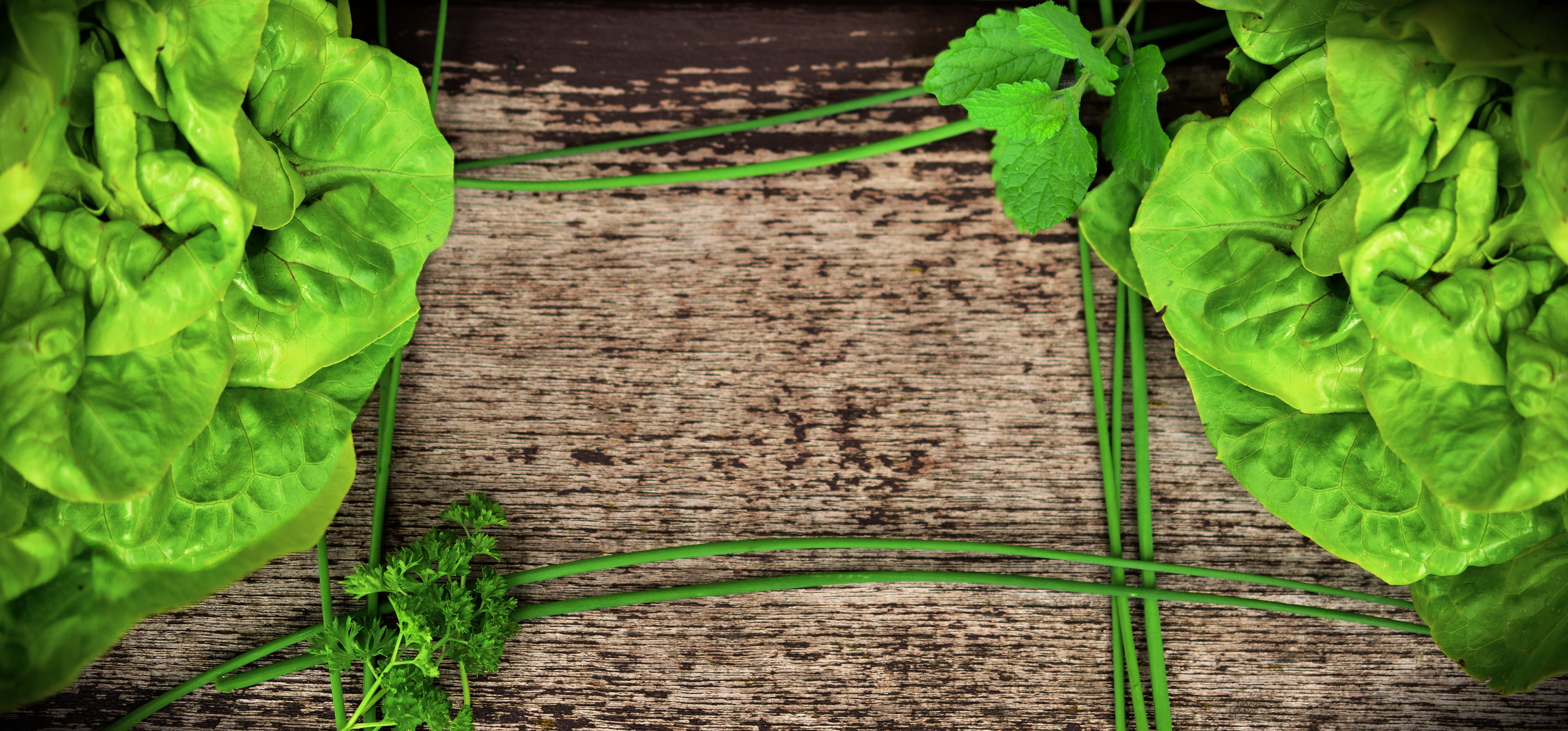 5K, surface, wellbeing, plant, lettuce, vegetable, green salad, freshness, cook, leaf, day, planting, copy space, nature, salad, agriculture, high angle view, HD Wallpaper