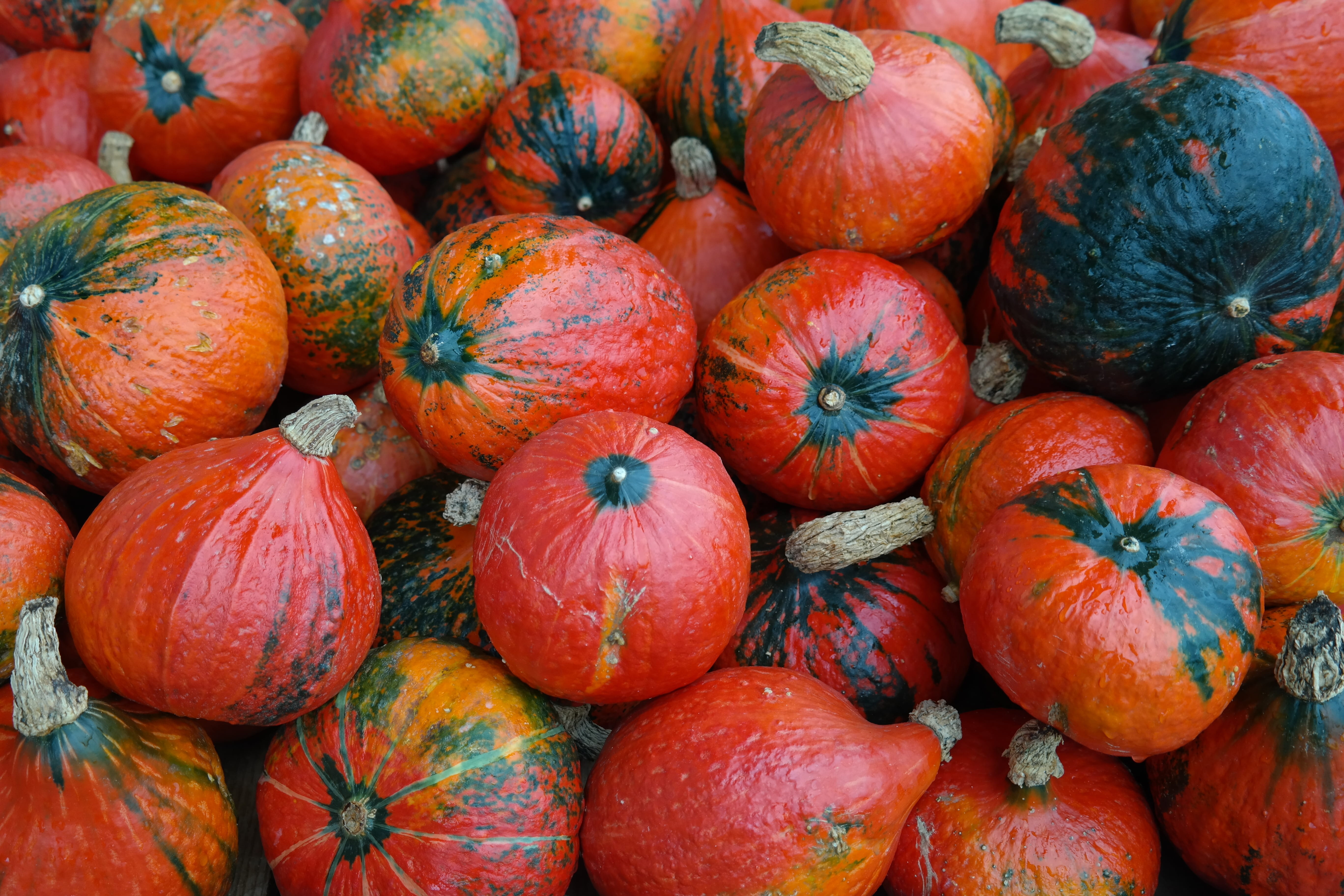 nature, organic, close-up, vegetable, pumpkin, no people, orange Color, autumn, Hokkaido, red, market, large group of objects, abundance, bearing vegetables, HD Wallpaper