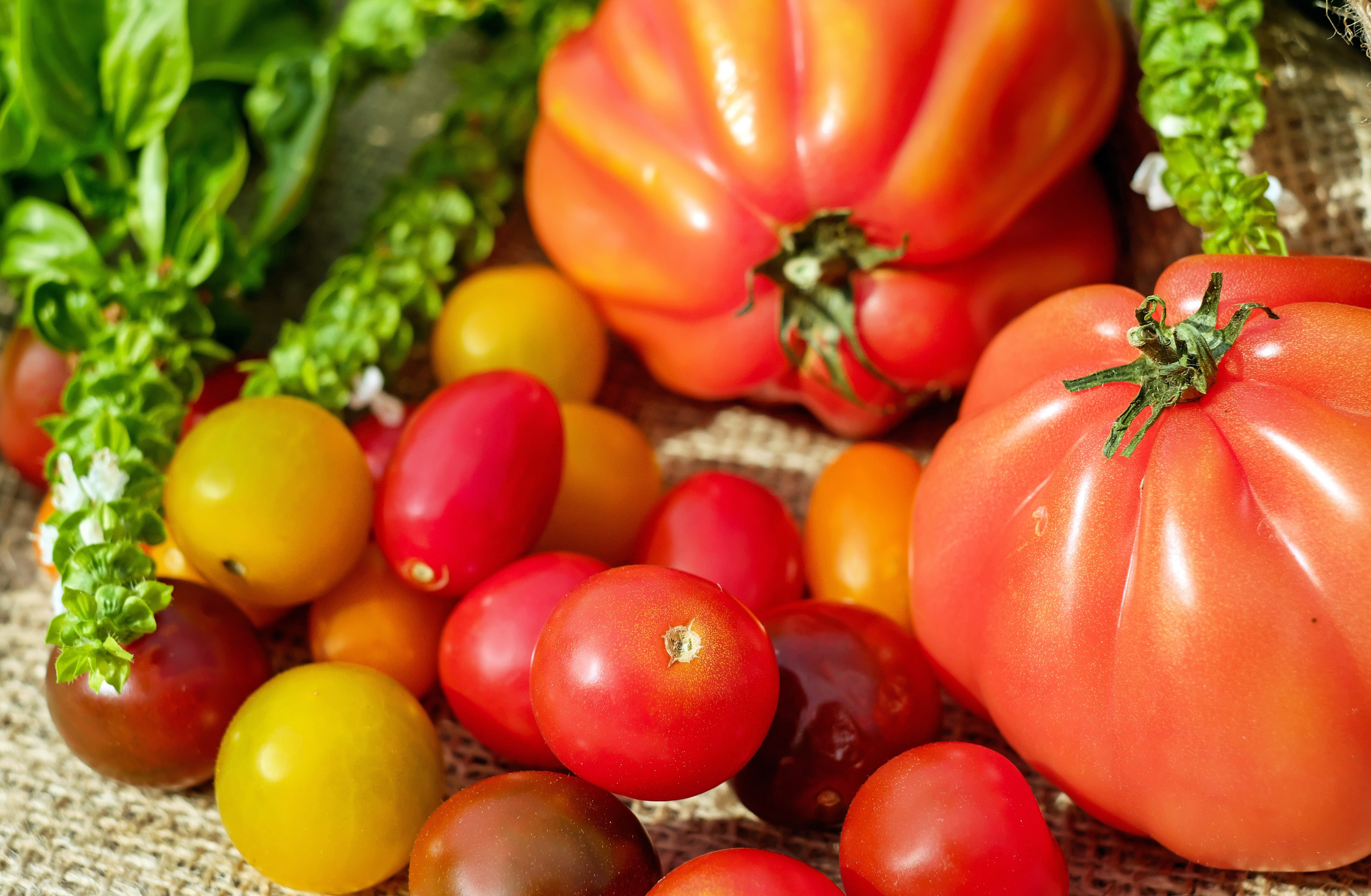 plant, no people, colorful, vitamins, raw food, vegetable, healthy eating, organic, food and drink, choice, cherry, harvest, fruit, tomato, variation, freshness, HD Wallpaper