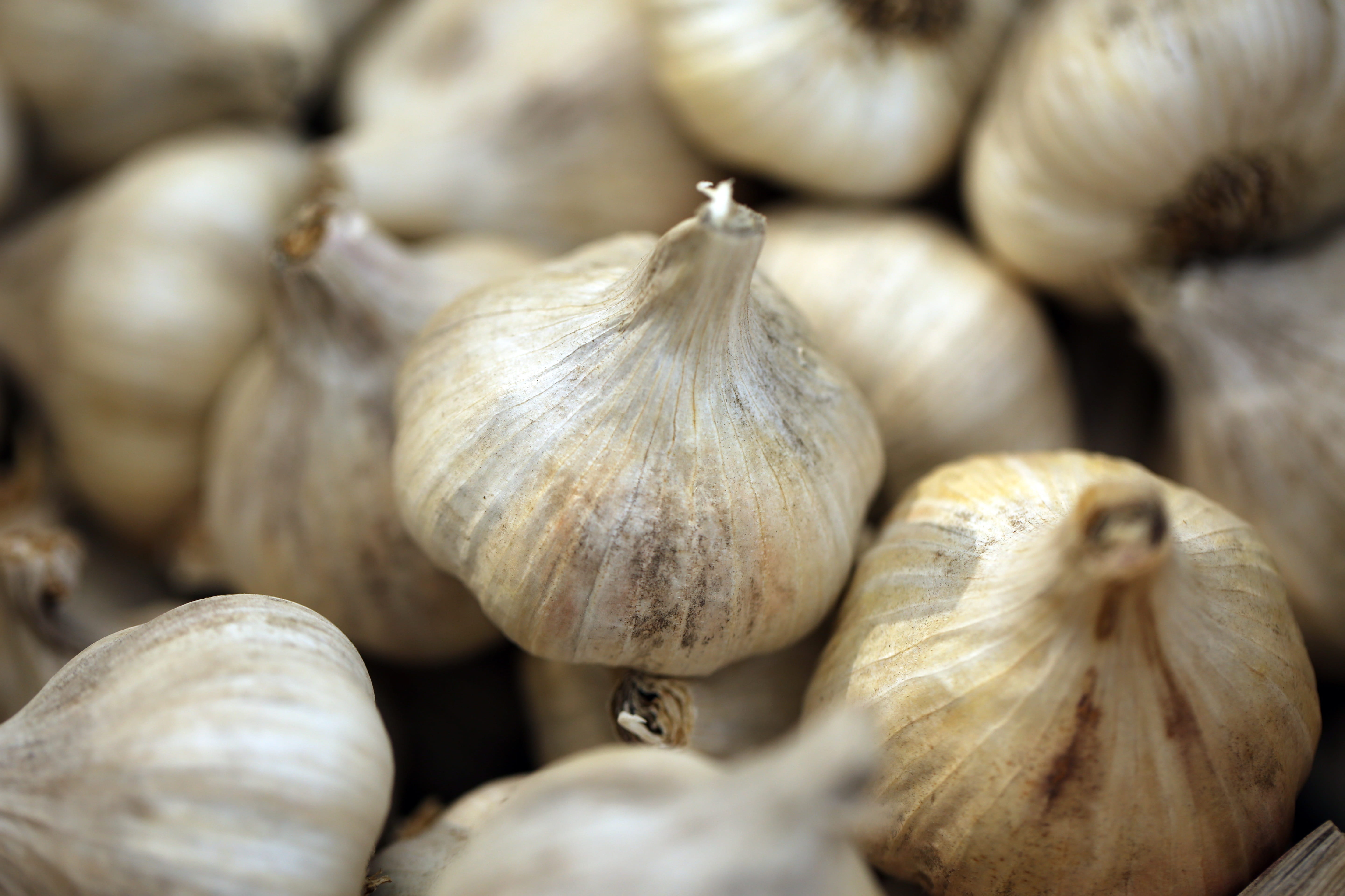 full frame, no people, raw food, freshness, large group of objects, backgrounds, vegetable, selective focus, nature, white, close-up, healthy eating, ingredient, HD Wallpaper