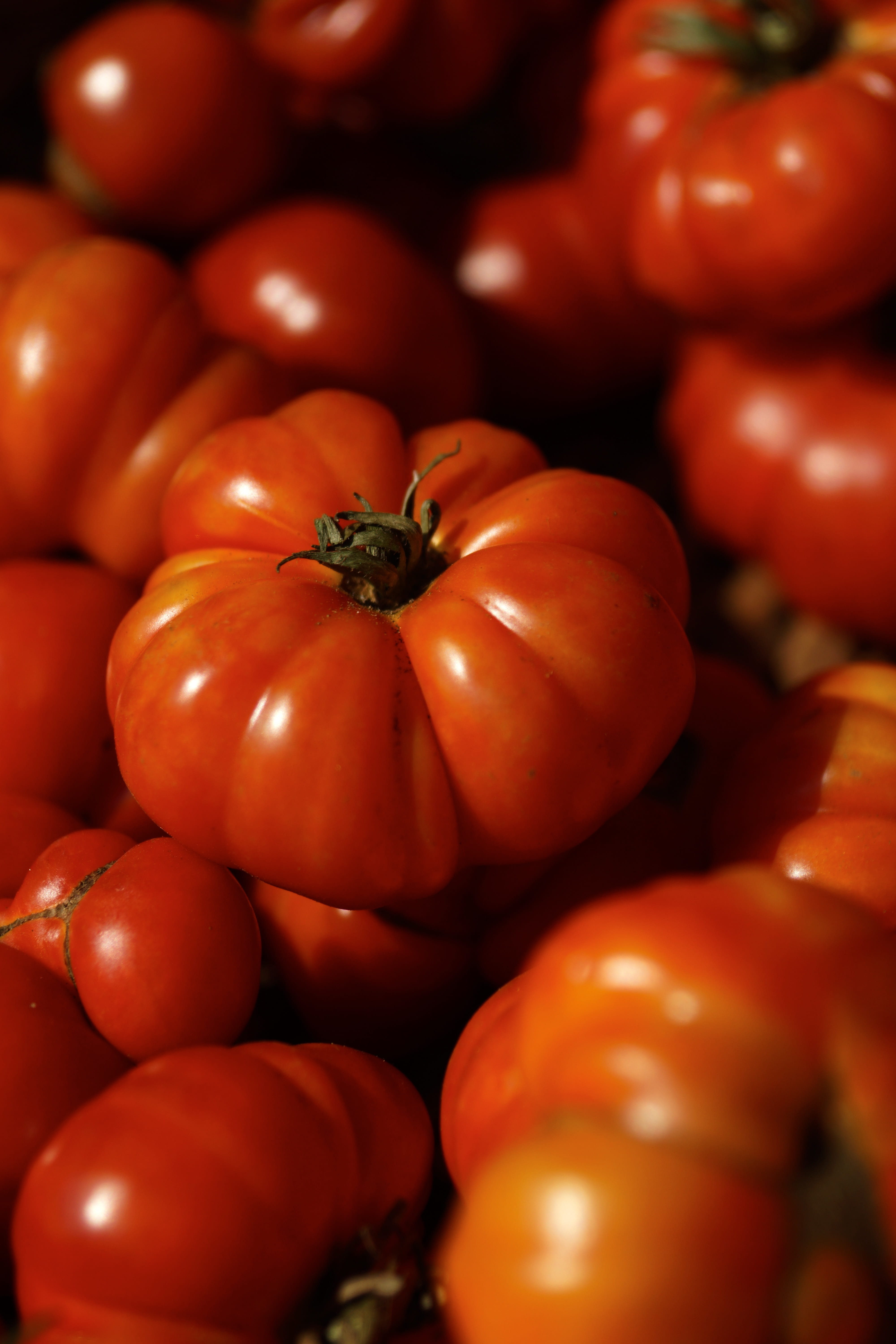 full frame, raw food, food, heirloom, homegrown produce, abundance, close-up, still life, healthy, market, tomato, 5K, backgrounds, wellbeing, food and drink, Phone HD Wallpaper