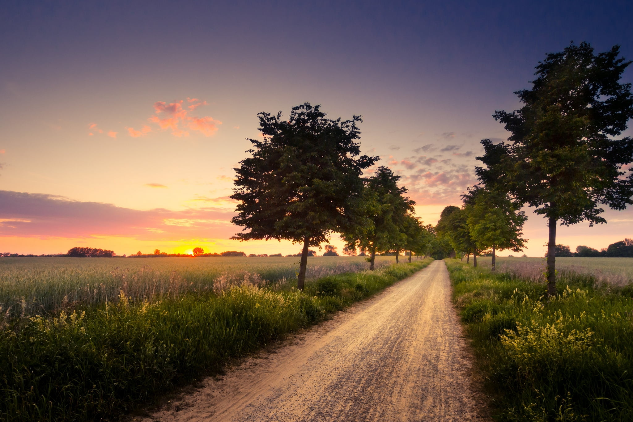 summer, sunrise - Dawn, idyllic, light - Natural Phenomenon, gold Colored, green Color, rural Scene, young, beauty In Nature, blue, farm, agriculture, green, HD Wallpaper
