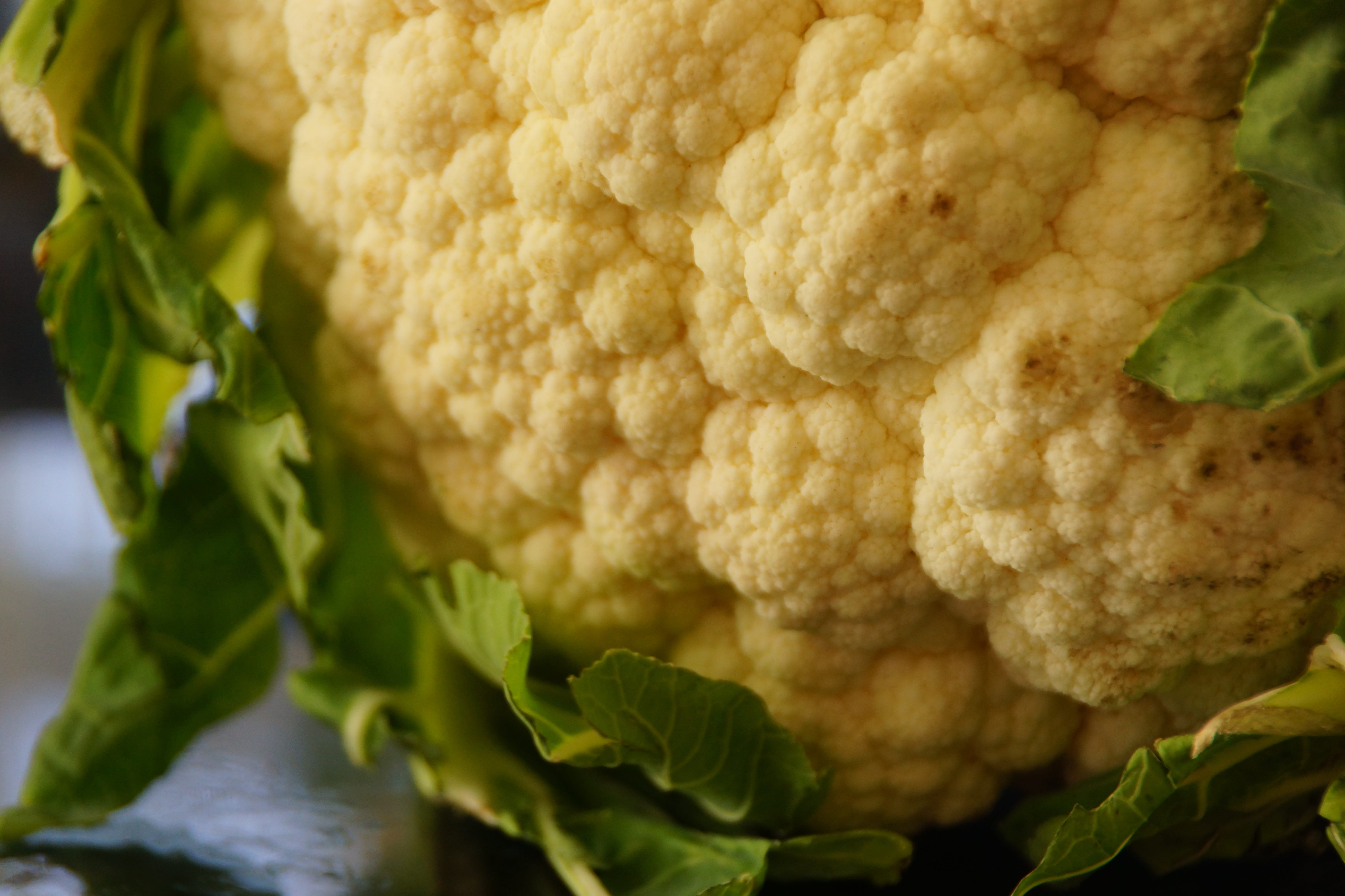 healthy eating, organic, food, vegetable, wellbeing, raw food, cauliflower, healthy, nature, studio shot, plant part, freshness, 5K, still life, green color, HD Wallpaper