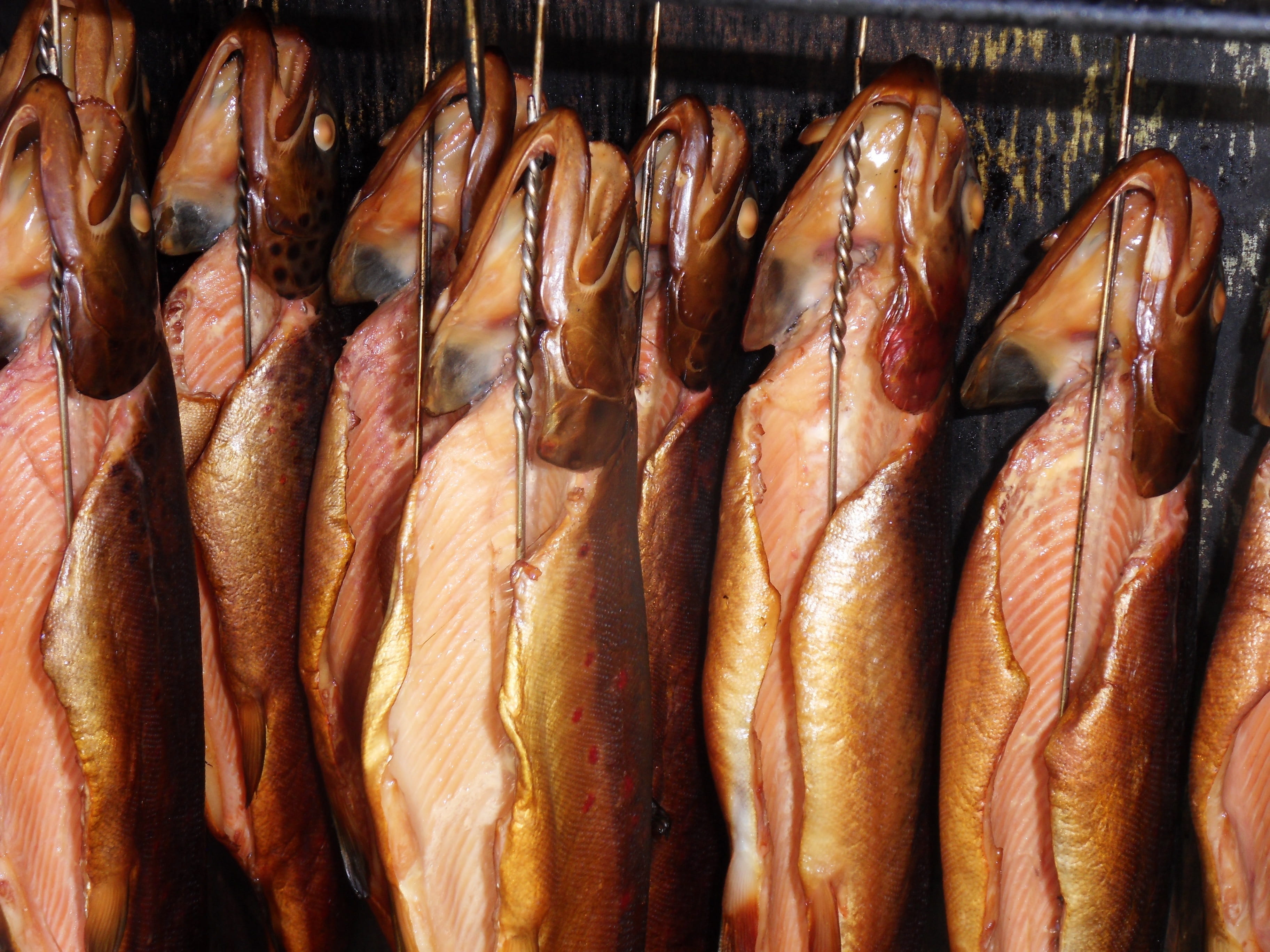raw food, food, for sale, close-up, fish, fishing industry, market, animal, wellbeing, no people, retail, trout smoked, freshness, seafood, sale, retail display, HD Wallpaper