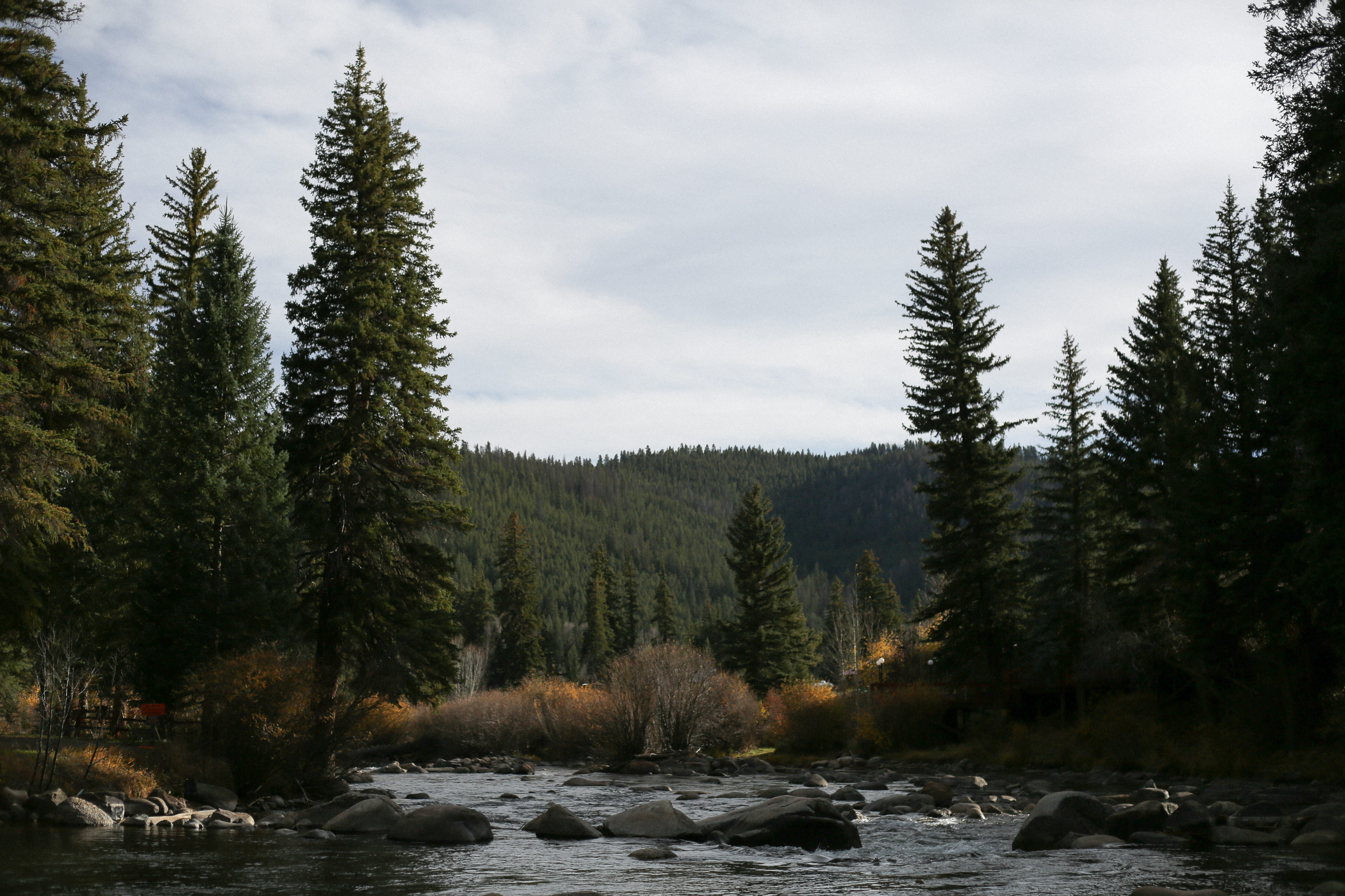 fishing, land, cloud - sky, fish, non-urban scene, woods, water, beauty in nature, pine tree, mountain, mountains, scenics - nature, rapids, tranquil scene, HD Wallpaper