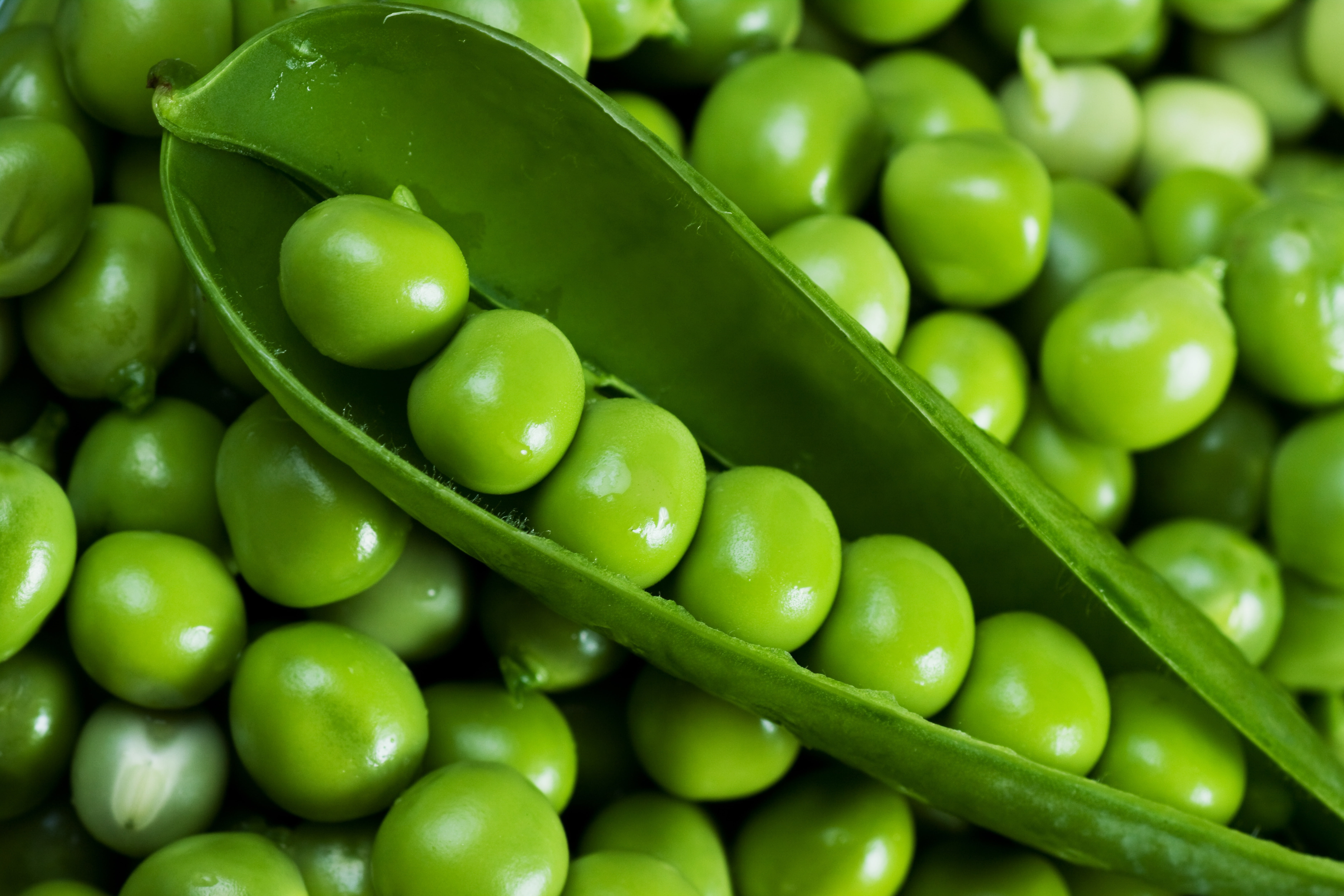 organic, bean, still life, agriculture, selective focus, day, healthy Lifestyle, table, green Pea, gourmet, peas, ripe, seed, vegetable, fruit, backgrounds, HD Wallpaper