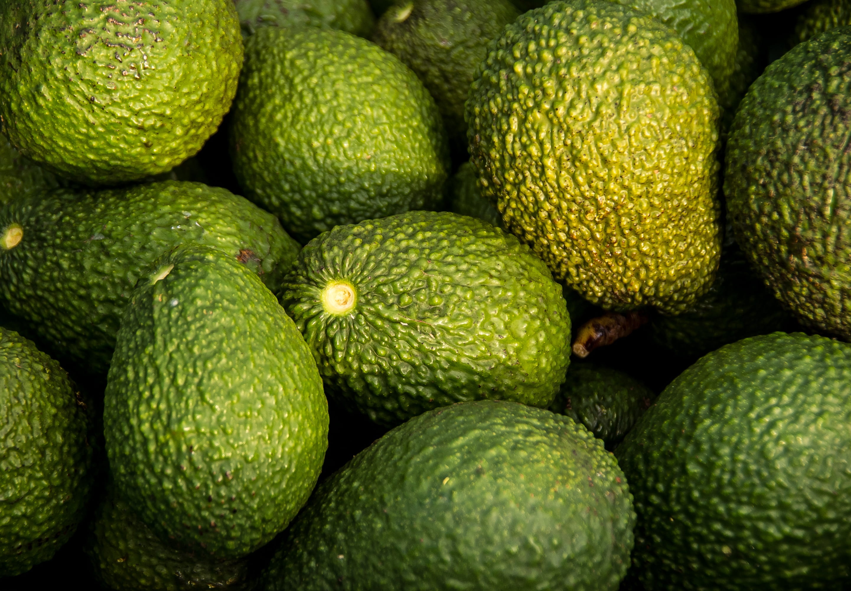 bunch, ripe, healthy eating, harvest, avocados, picked, market stall, food, backgrounds, no people, large group of objects, market, green, avocado, full frame, HD Wallpaper