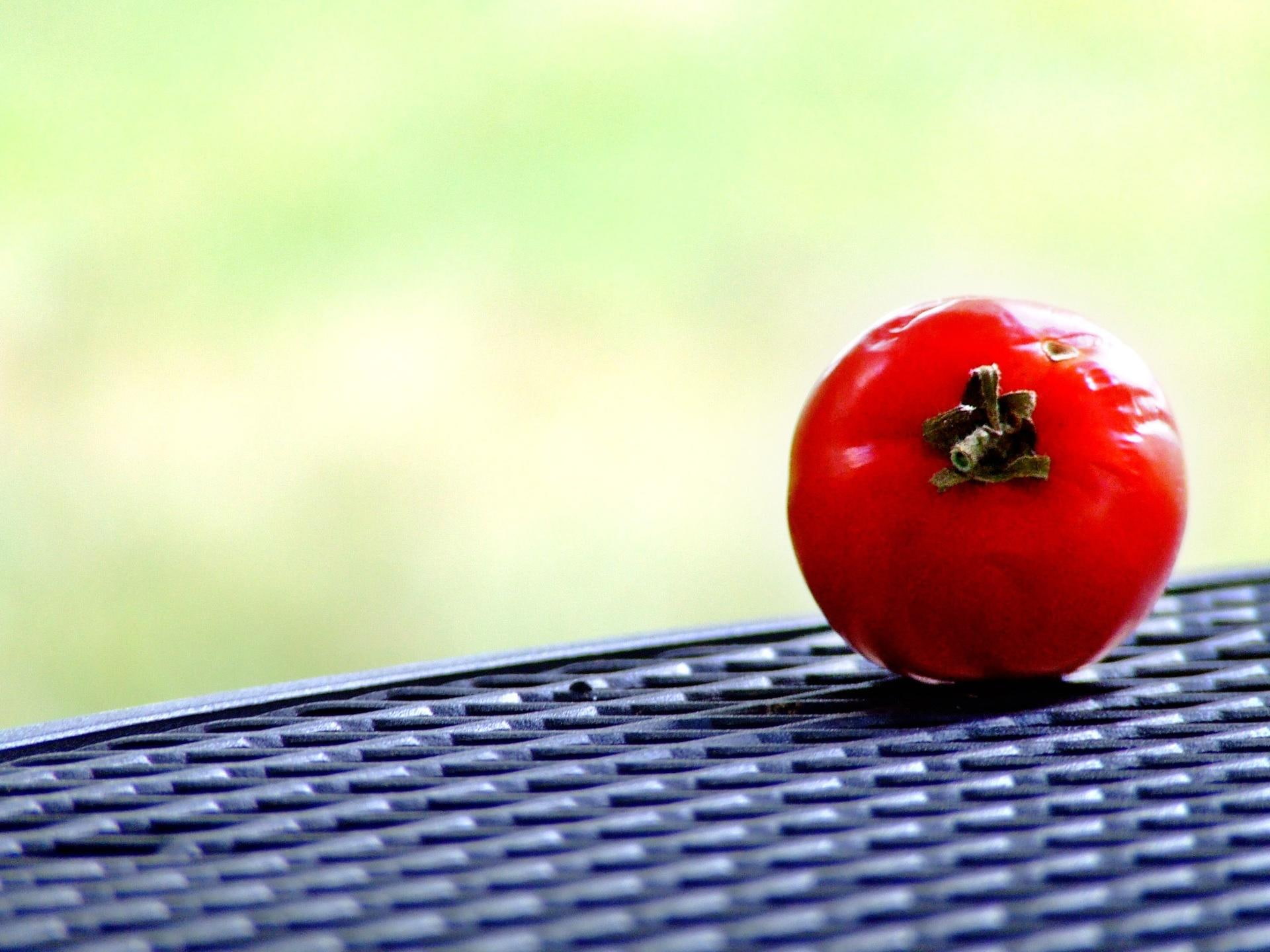 tomato, 3d and abstract, freshly, fruit, fresh, picked, photography, 1080P, HD Wallpaper