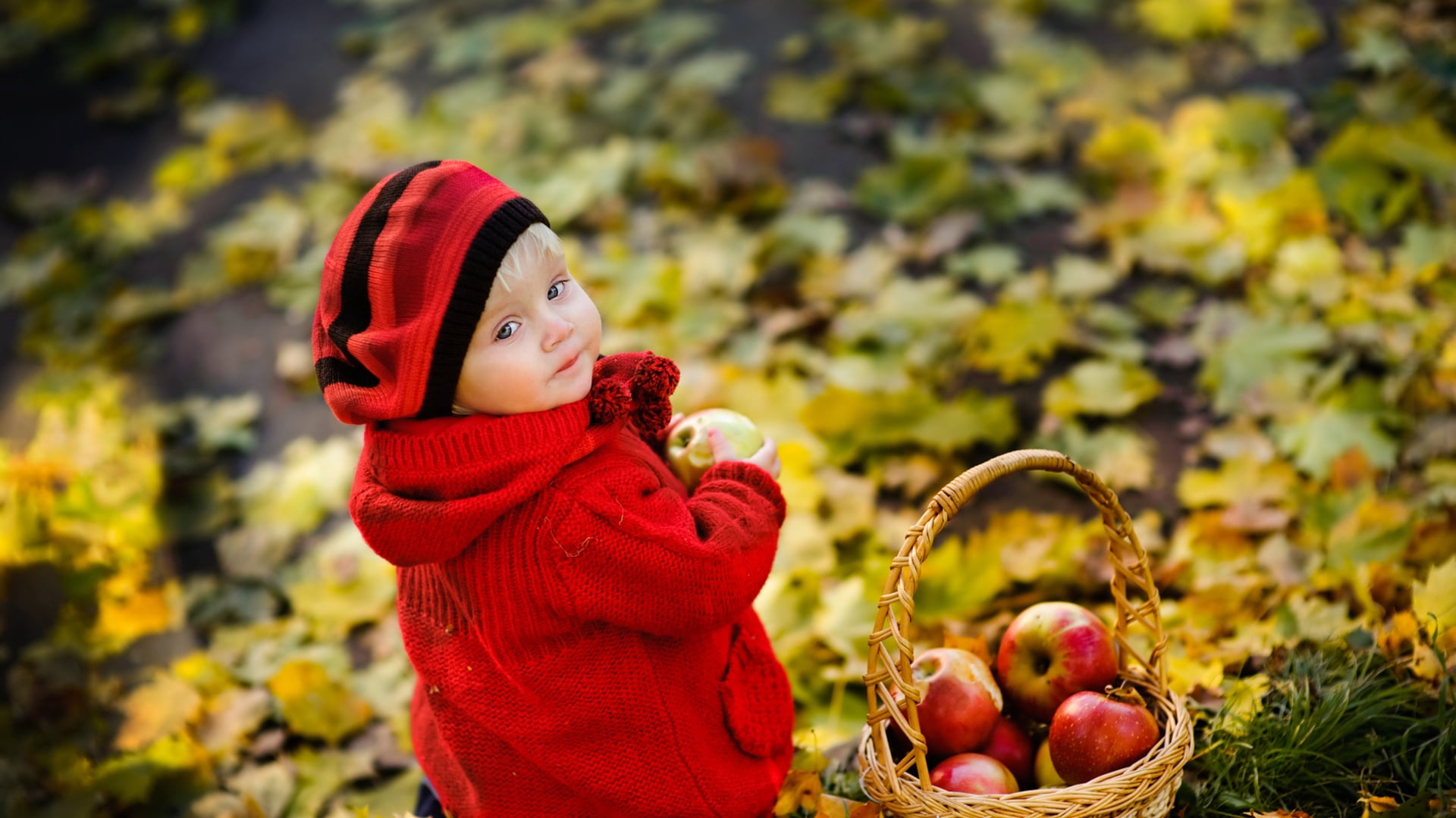 walk, young, october, females, adult, lifestyles, portrait, hat, innocence, smiling, toddler, healthy eating, multi Colored, holding, young Adult, focus on foreground, HD Wallpaper