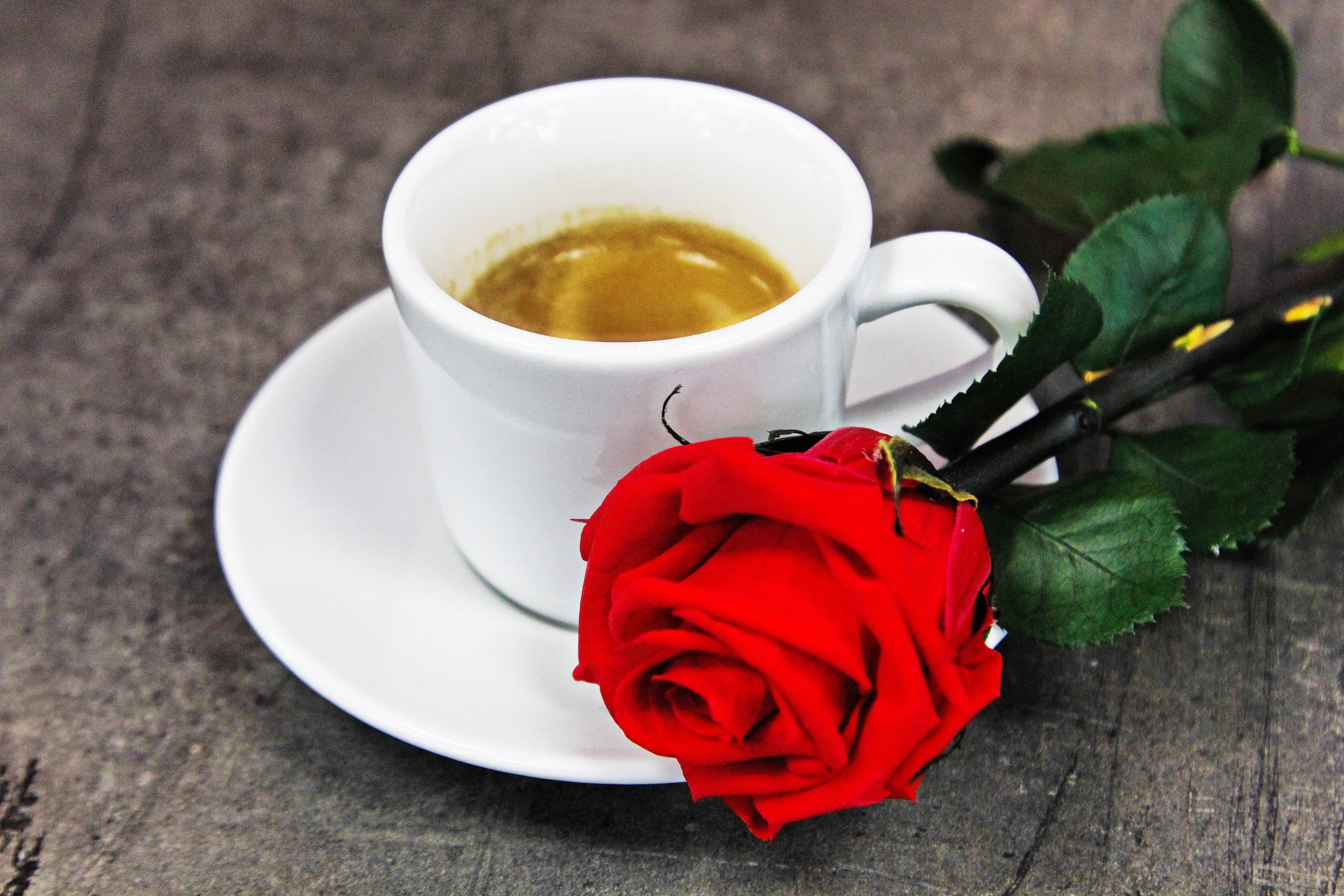 beverages, tea cup, saucer, red rose, cafe, flowering plant, love, caffeine, cup, flower, mug, flower head, refreshment, food and drink, 5K, crockery, HD Wallpaper