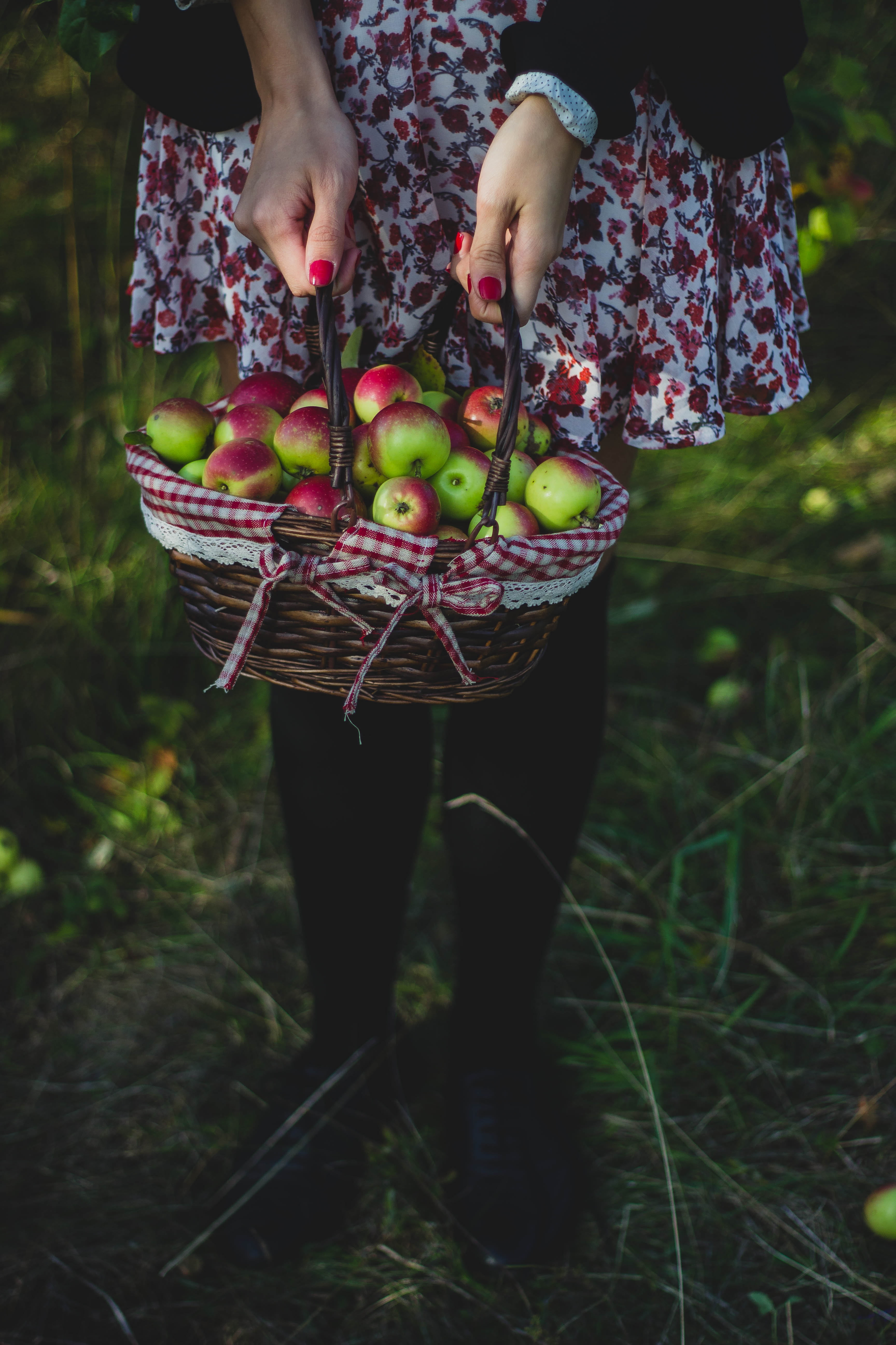 land, holding, basket, outdoor, girl, low section, 5K, plant, standing, day, bokeh, healthy lifestyle, wellbeing, blur, healthy eating, harvest, apple, Phone HD Wallpaper