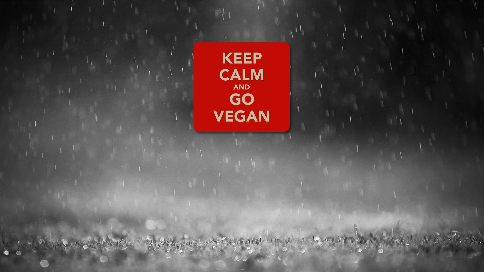 3d and abstract, 1080P, calm, vegan, vegetarian, keep, go, HD Wallpaper