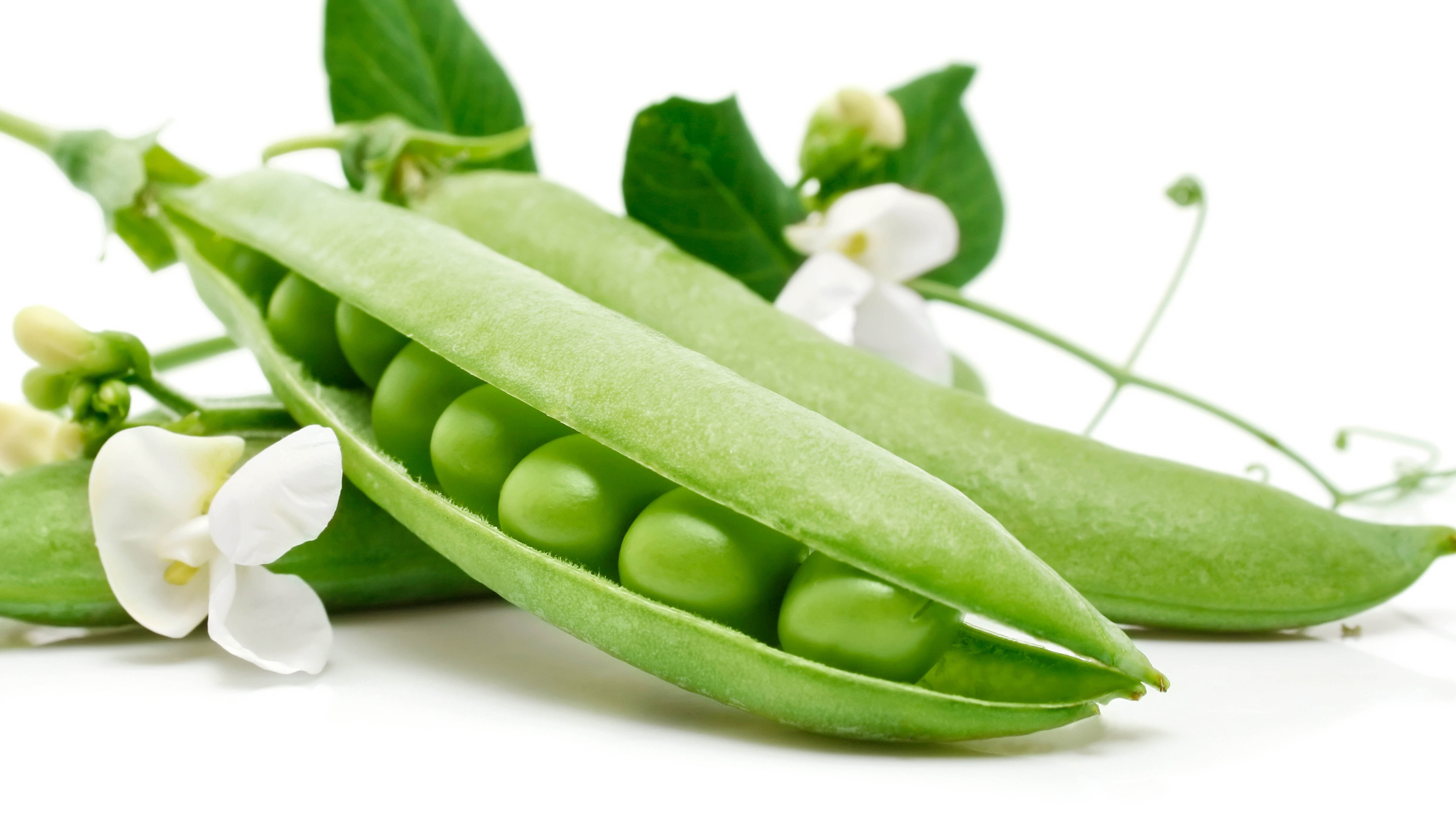 pea Pod, seed, green Color, ripe, 5K, food, nature, cut out, peas, ingredient, slice, wellbeing, snack, beans, isolated On White, white, two, plant Pod, HD Wallpaper