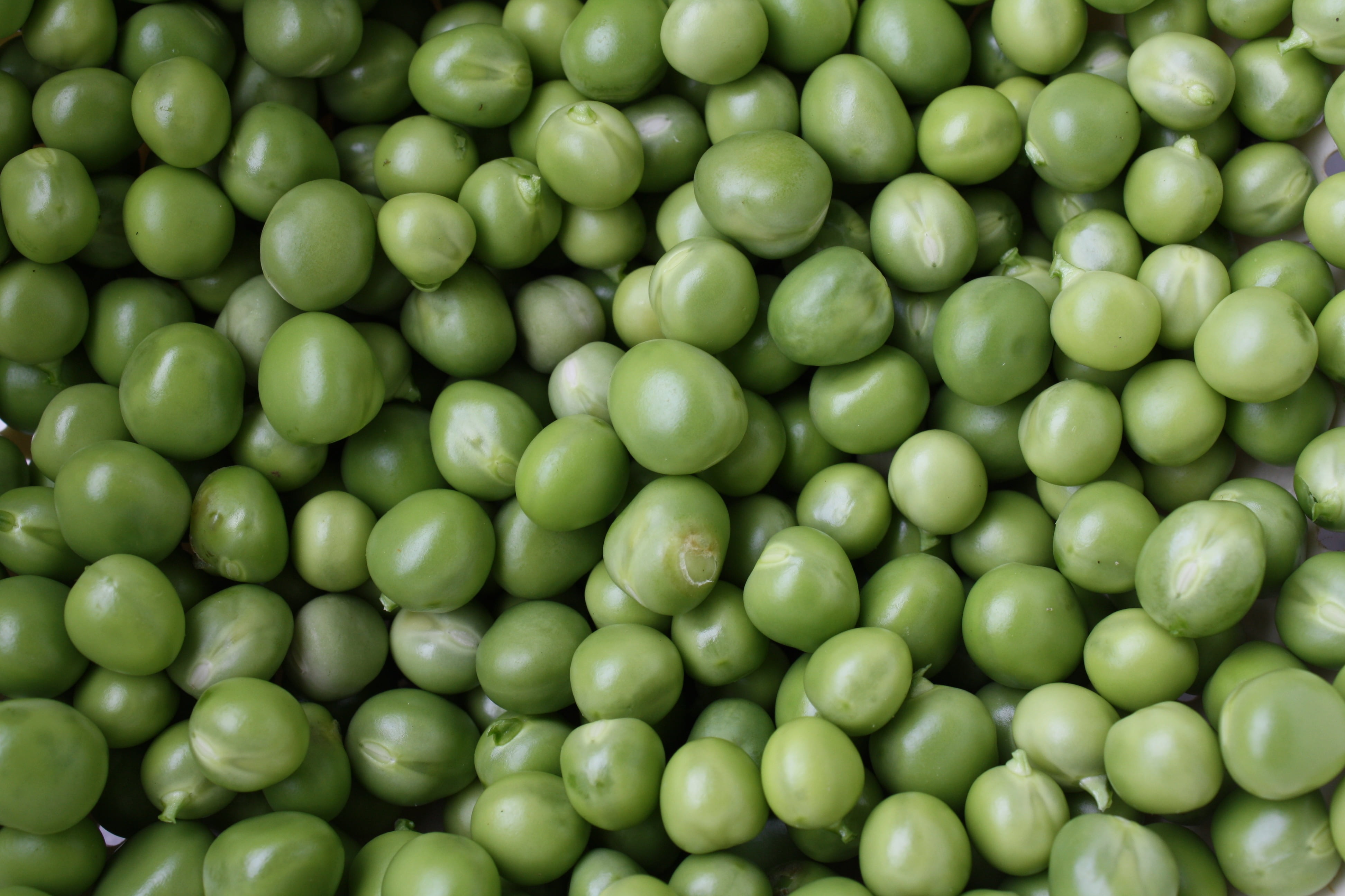 backgrounds, no people, food and drink, still life, close-up, green, many, 4K, healthy eating, freshness, vegetable, food, large group of objects, fruits, HD Wallpaper