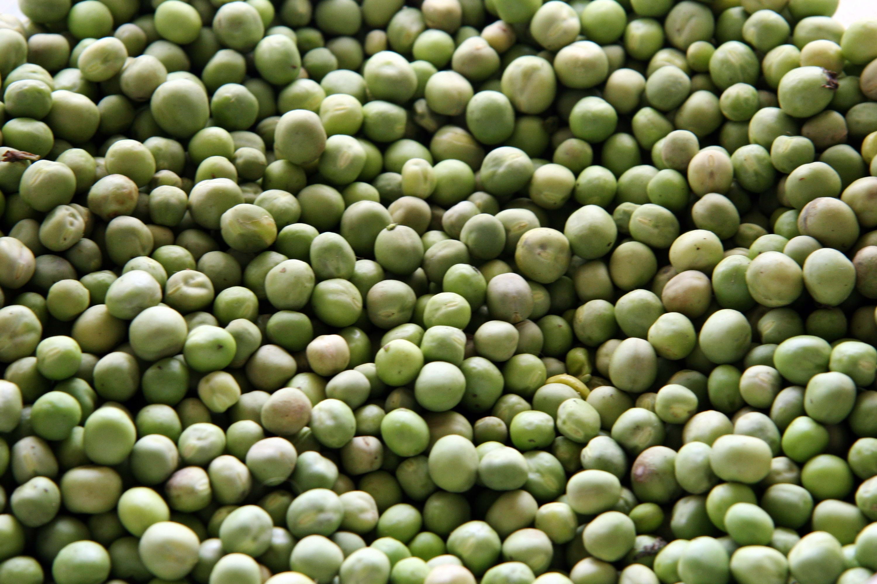 bean, fruits, round, peas, full frame, close-up, no People, vegetable, high angle view, wellbeing, green Pea, heap, legume, seed, healthy Eating, ingredient, HD Wallpaper