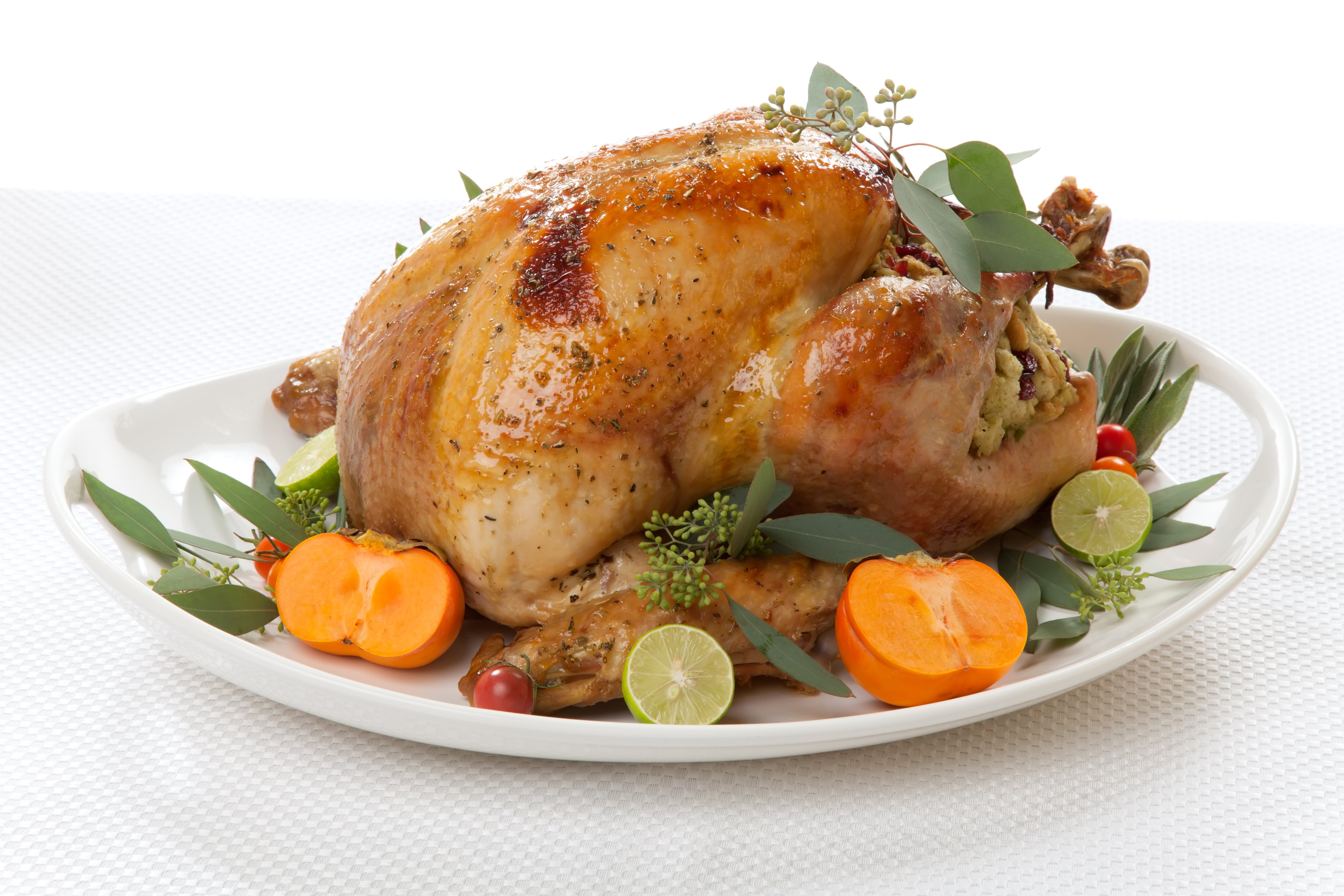 holiday, bird, 5K, meat, turkey, thanksgiving, fowl, HD Wallpaper