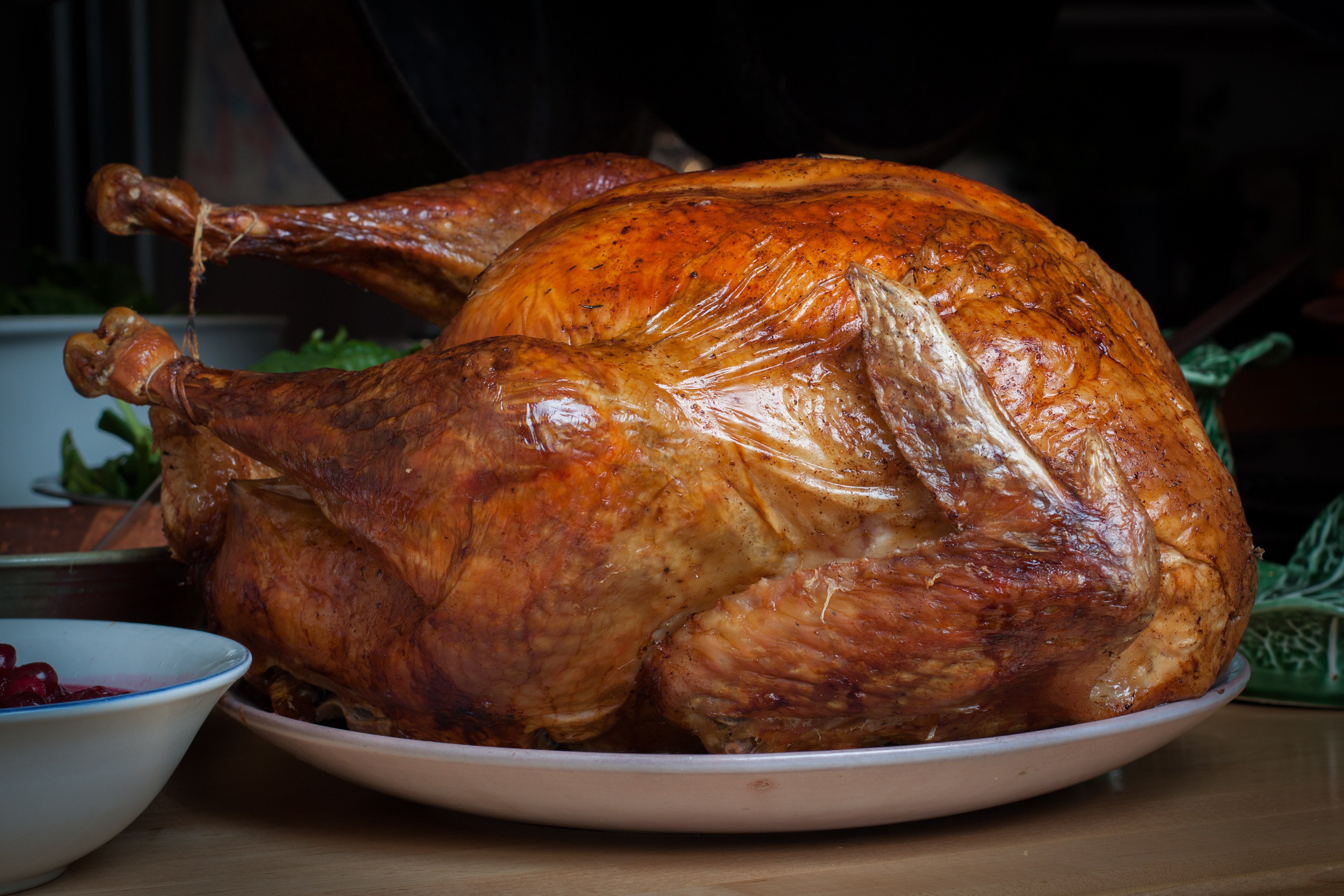 turkey, 4K, thanksgiving, fowl, meat, holiday, bird, HD Wallpaper