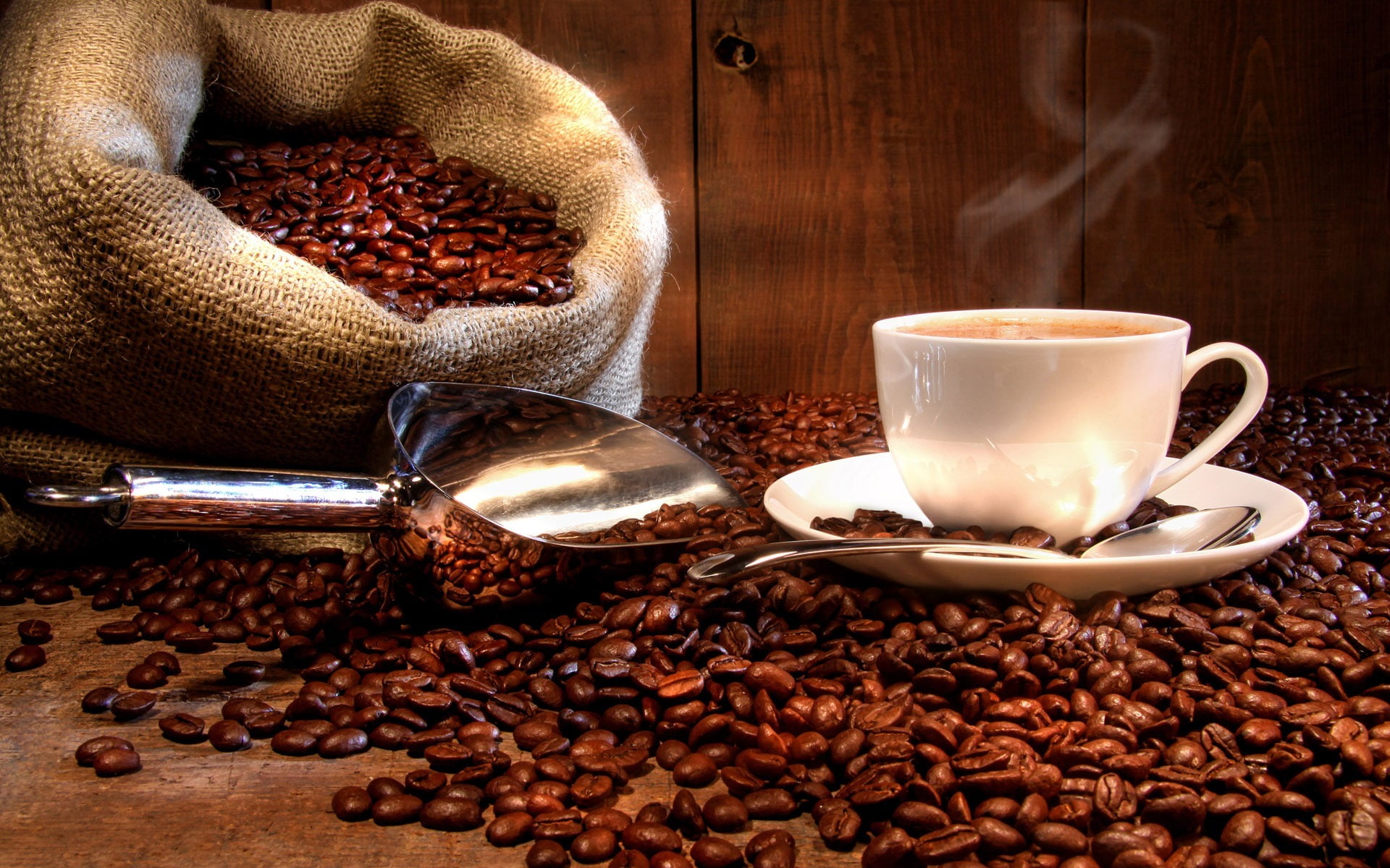 caffeine, breakfast, gourmet, white, still life, bean, Coffee beans, freshness, java, food and drink, seed, crockery, Cup, bag, beans, cafe, no people, HD Wallpaper