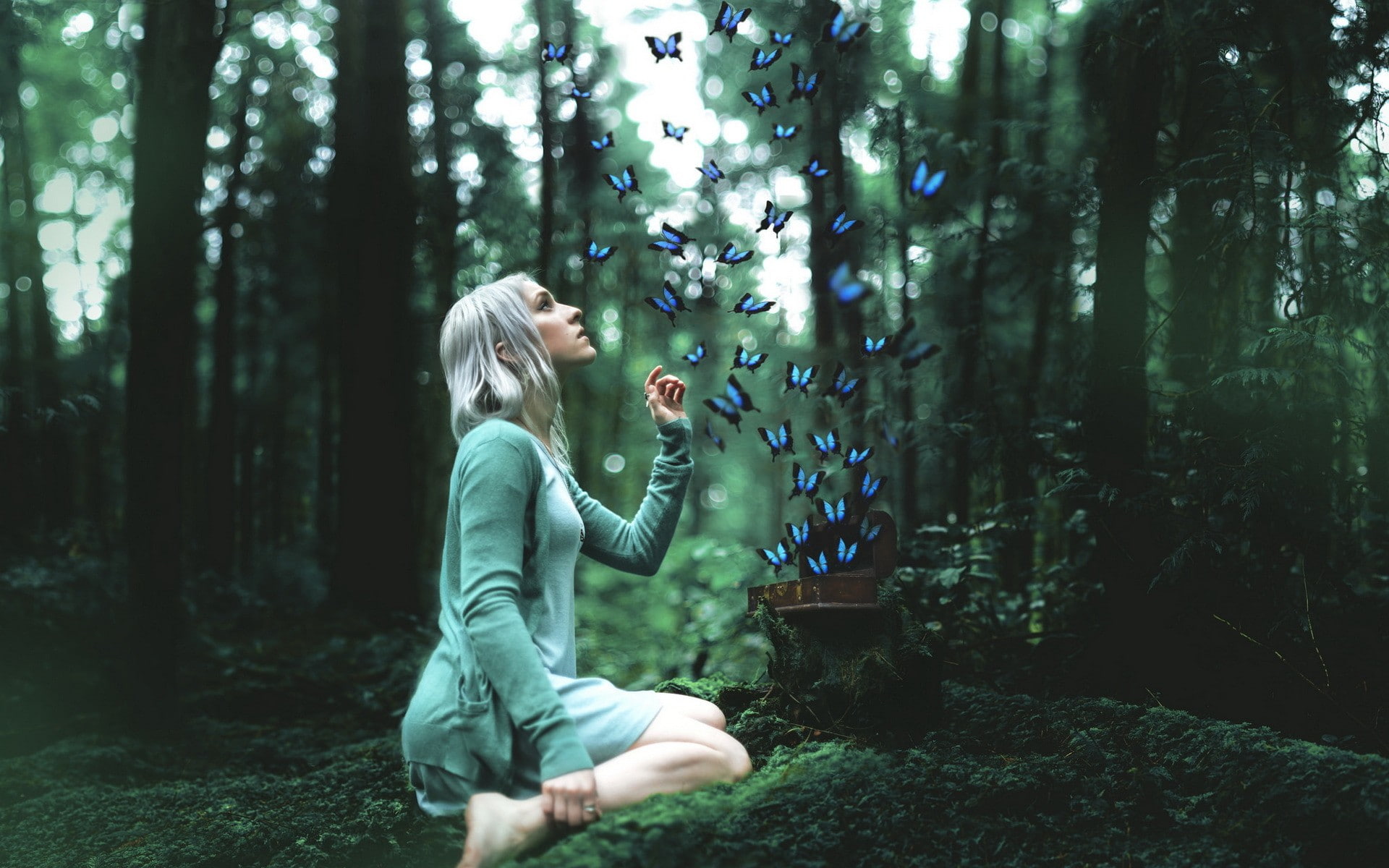 focused, 1080P, woodland, hairstyle, nature, women, leisure activity, full length, one person, forest, blonde, casual clothing, hair, plant, females, barefoot, HD Wallpaper